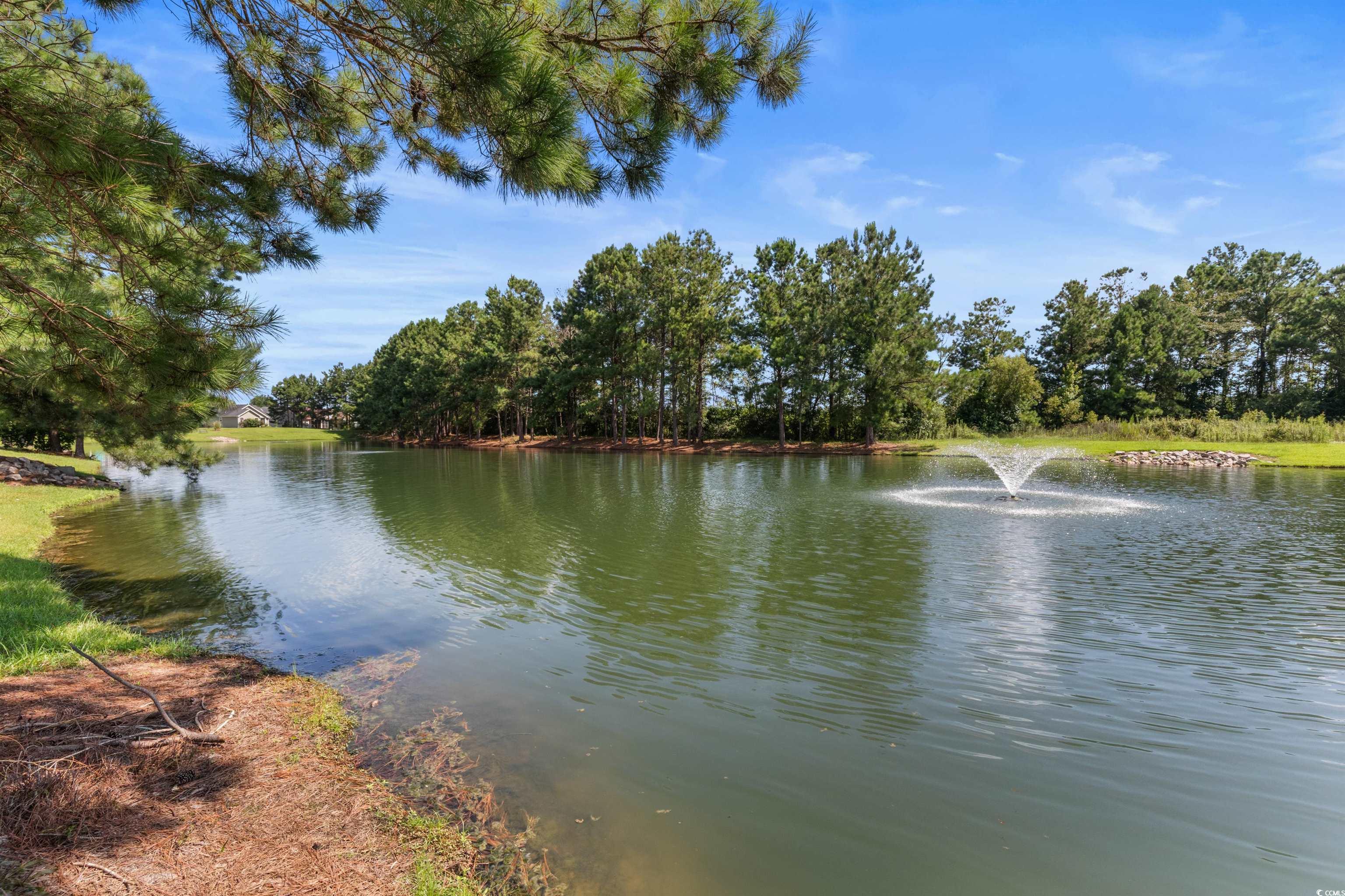 329 Blue Rock Dr. Property Photo 12