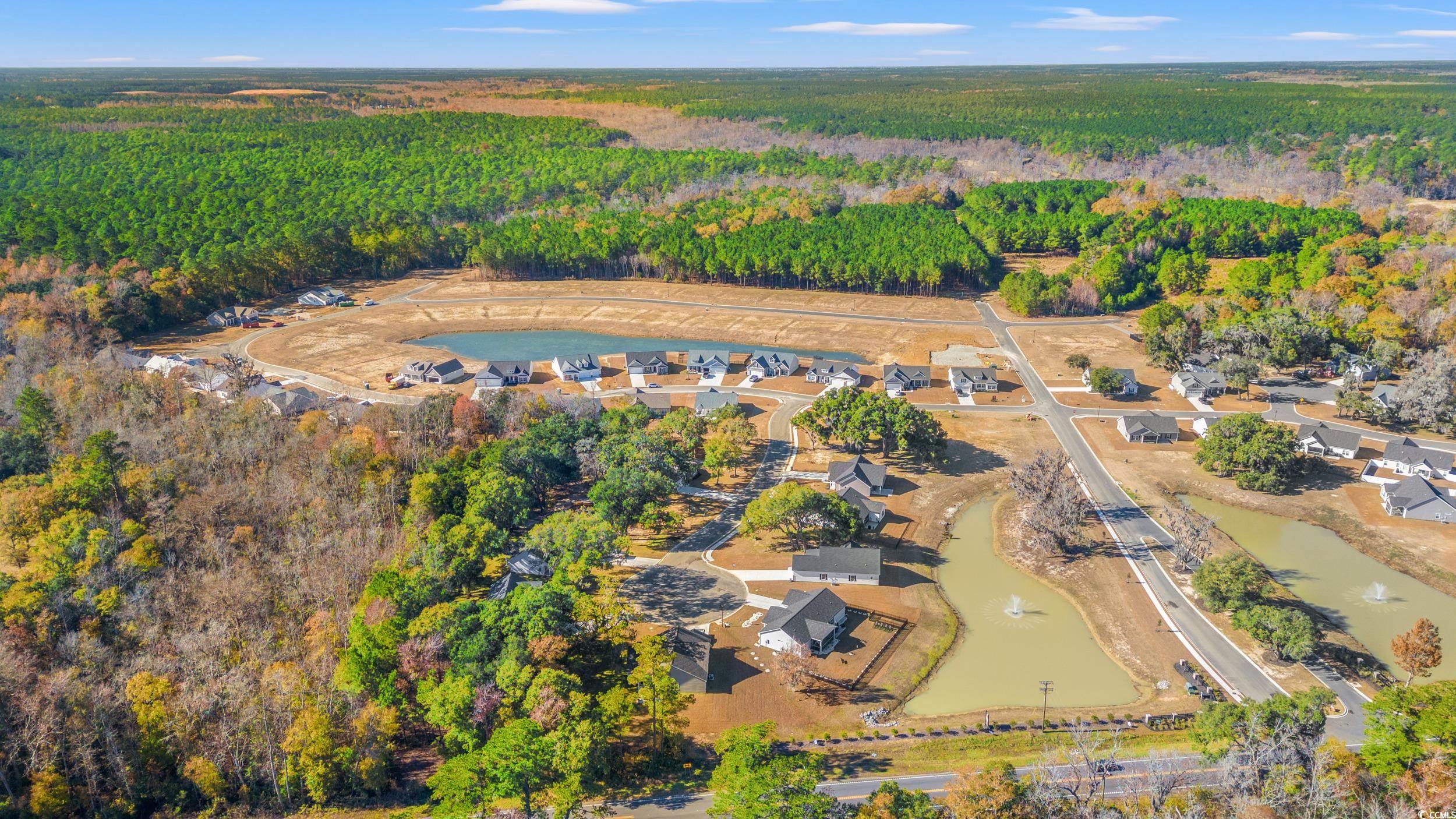 125 Double Pond Dr Property Photo 25