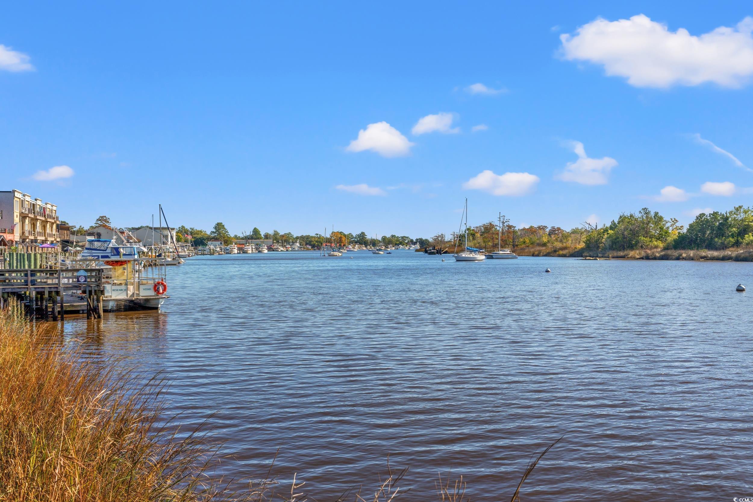 125 Double Pond Dr Property Photo 33