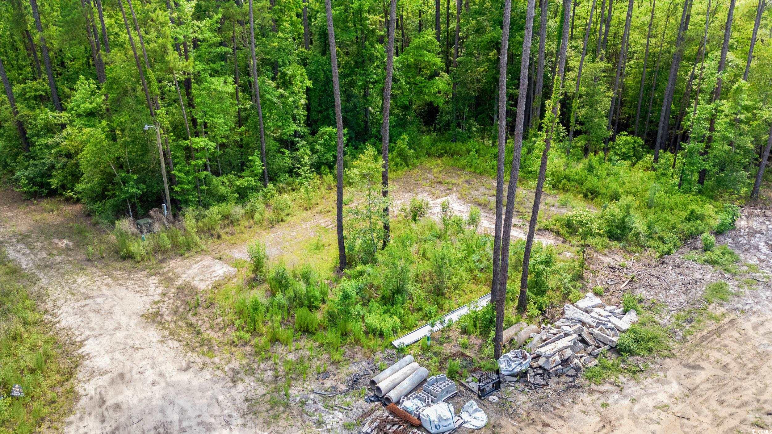 228 Fern Creek Ct. Property Photo 1