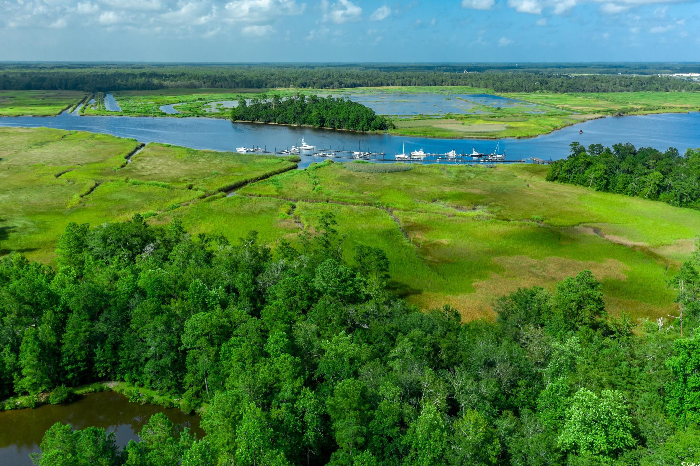 58 Pineberry Dr. Property Photo 4