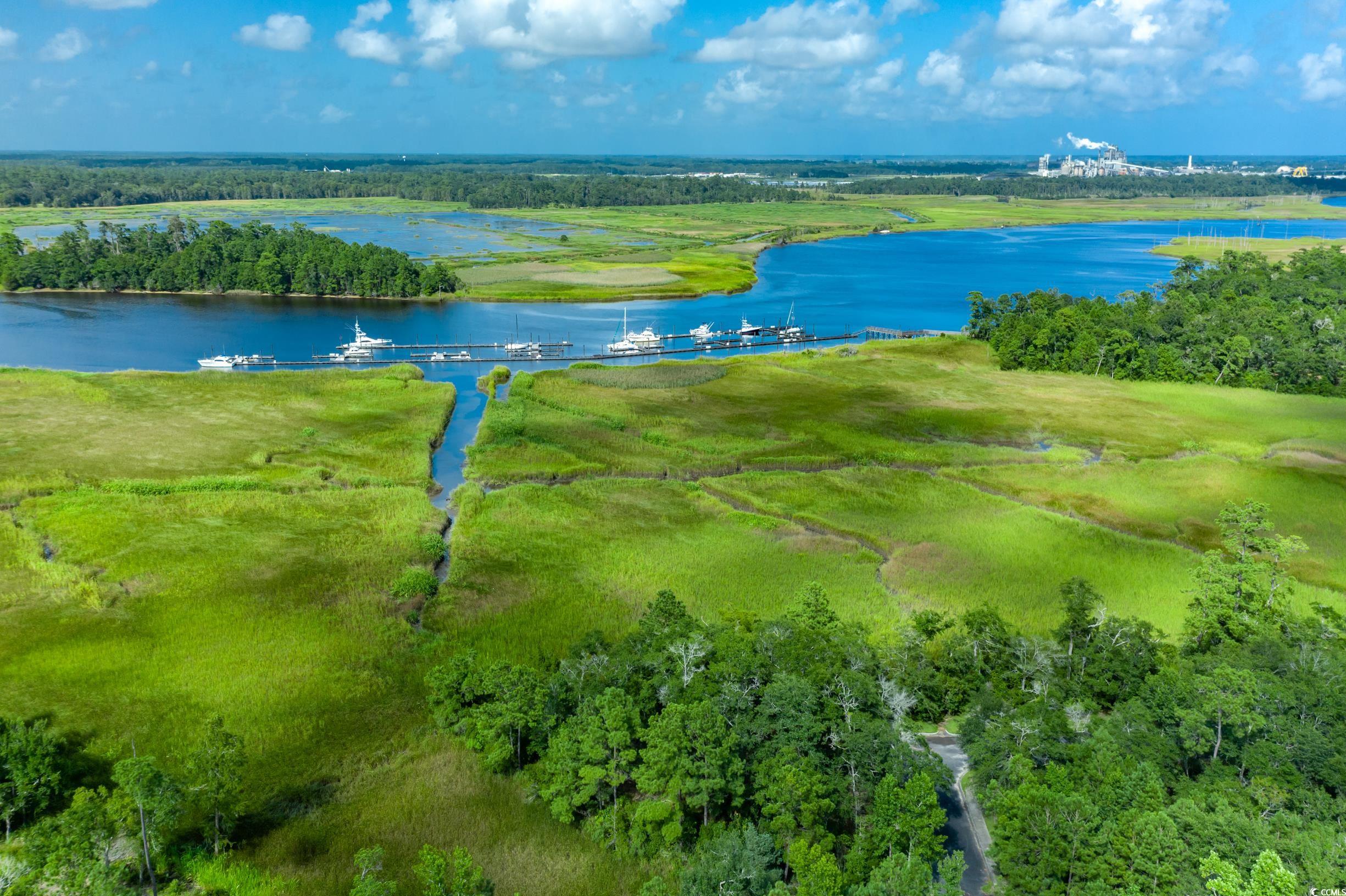 58 Pineberry Dr. Property Photo 5