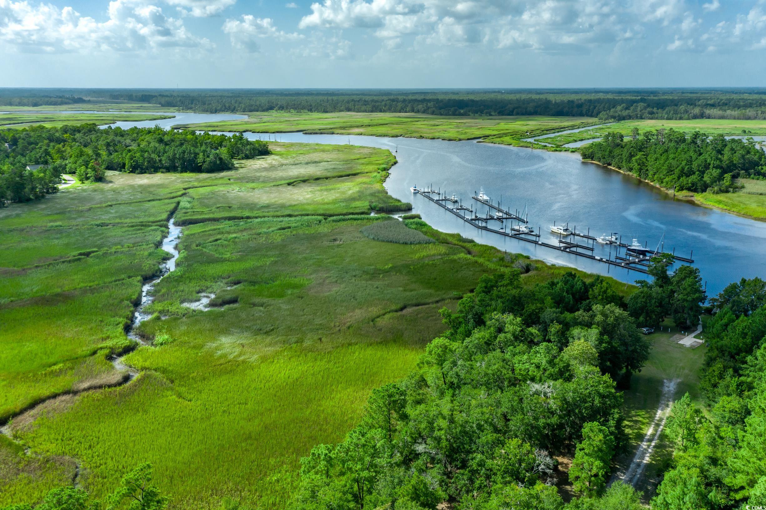 58 Pineberry Dr. Property Photo 6