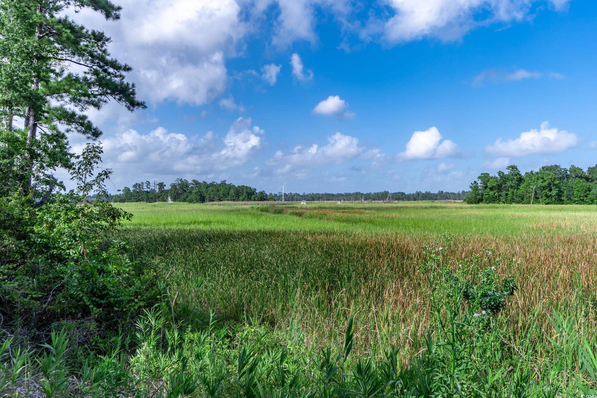 58 Pineberry Dr. Property Photo 9