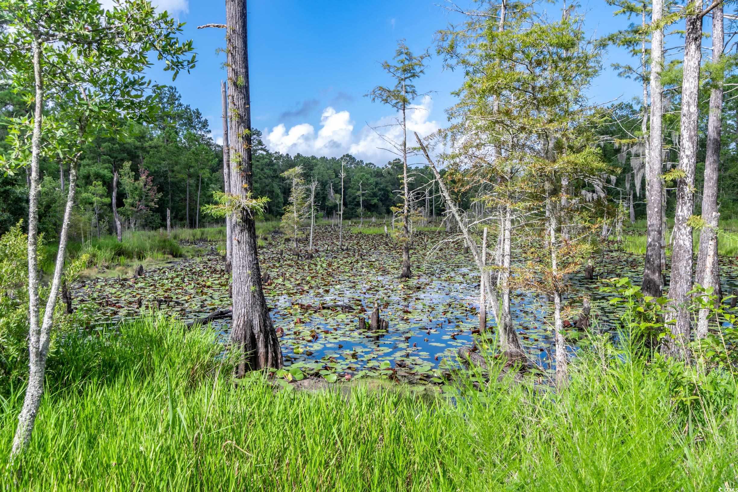 58 Pineberry Dr. Property Photo 16