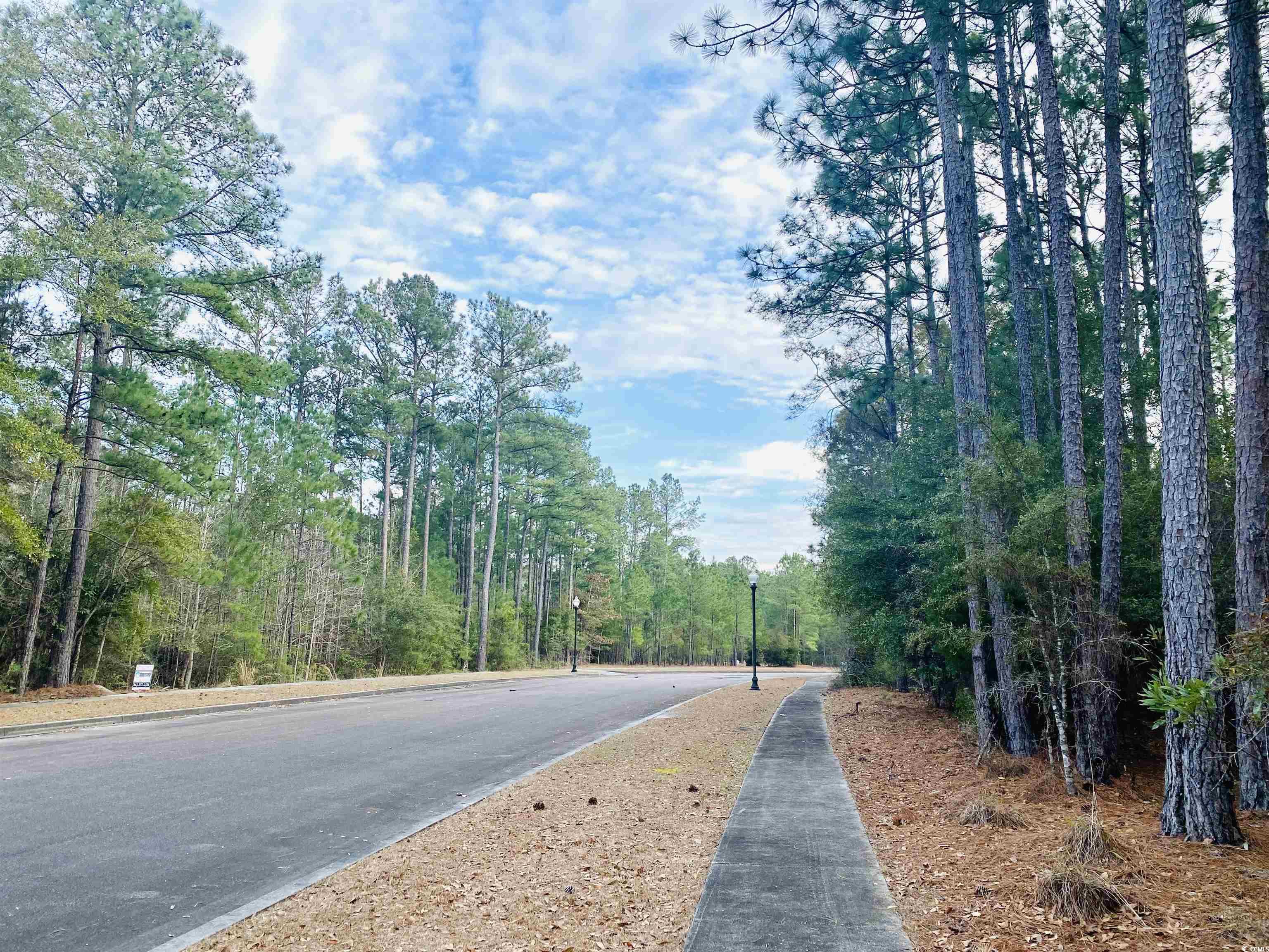 58 Pineberry Dr. Property Photo 18