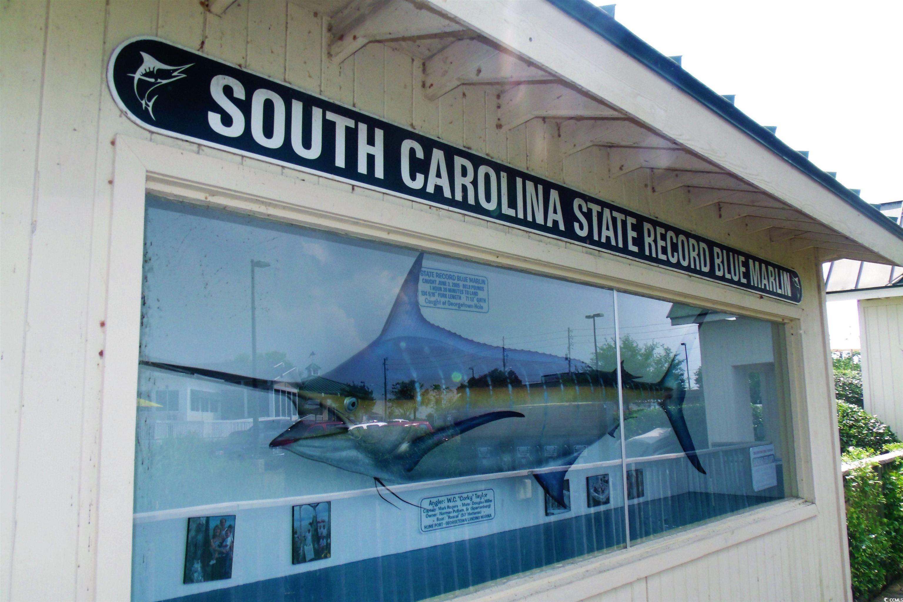 58 Pineberry Dr. Property Photo 25