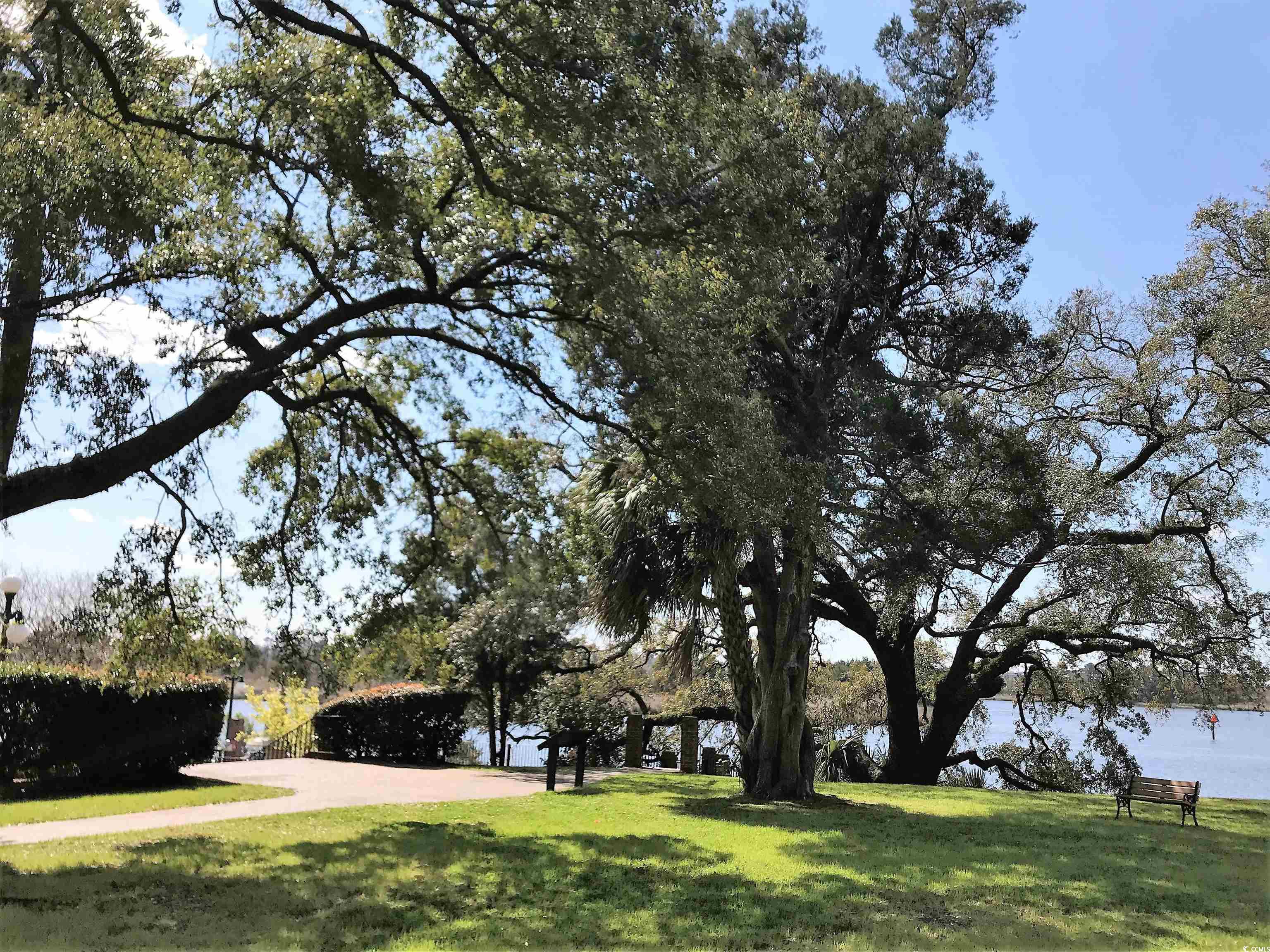 58 Pineberry Dr. Property Photo 27