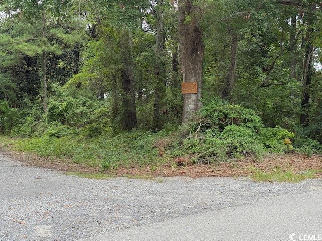 3591 Adam Ct. Property Photo 4