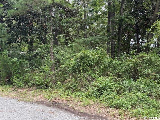 3591 Adam Ct. Property Photo 6