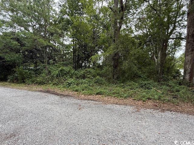 3591 Adam Ct. Property Photo 8