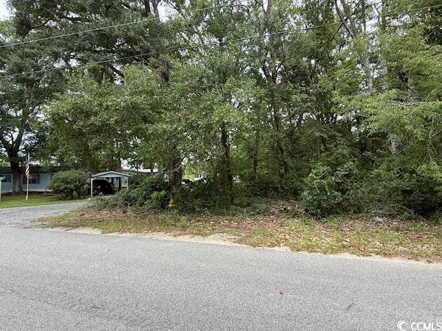 3591 Adam Ct. Property Photo 9