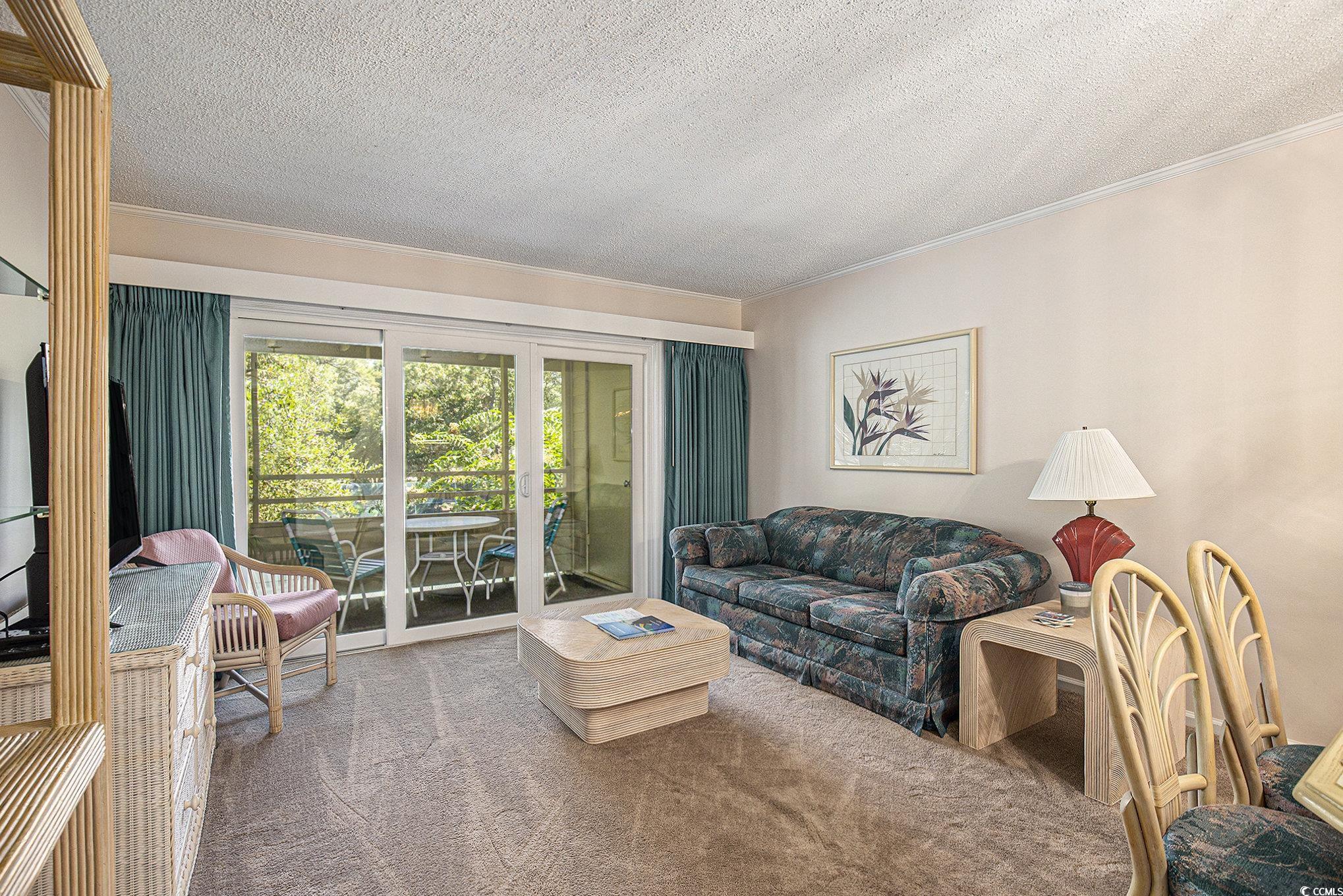 491 Ocean Creek Dr. Property Photo 8