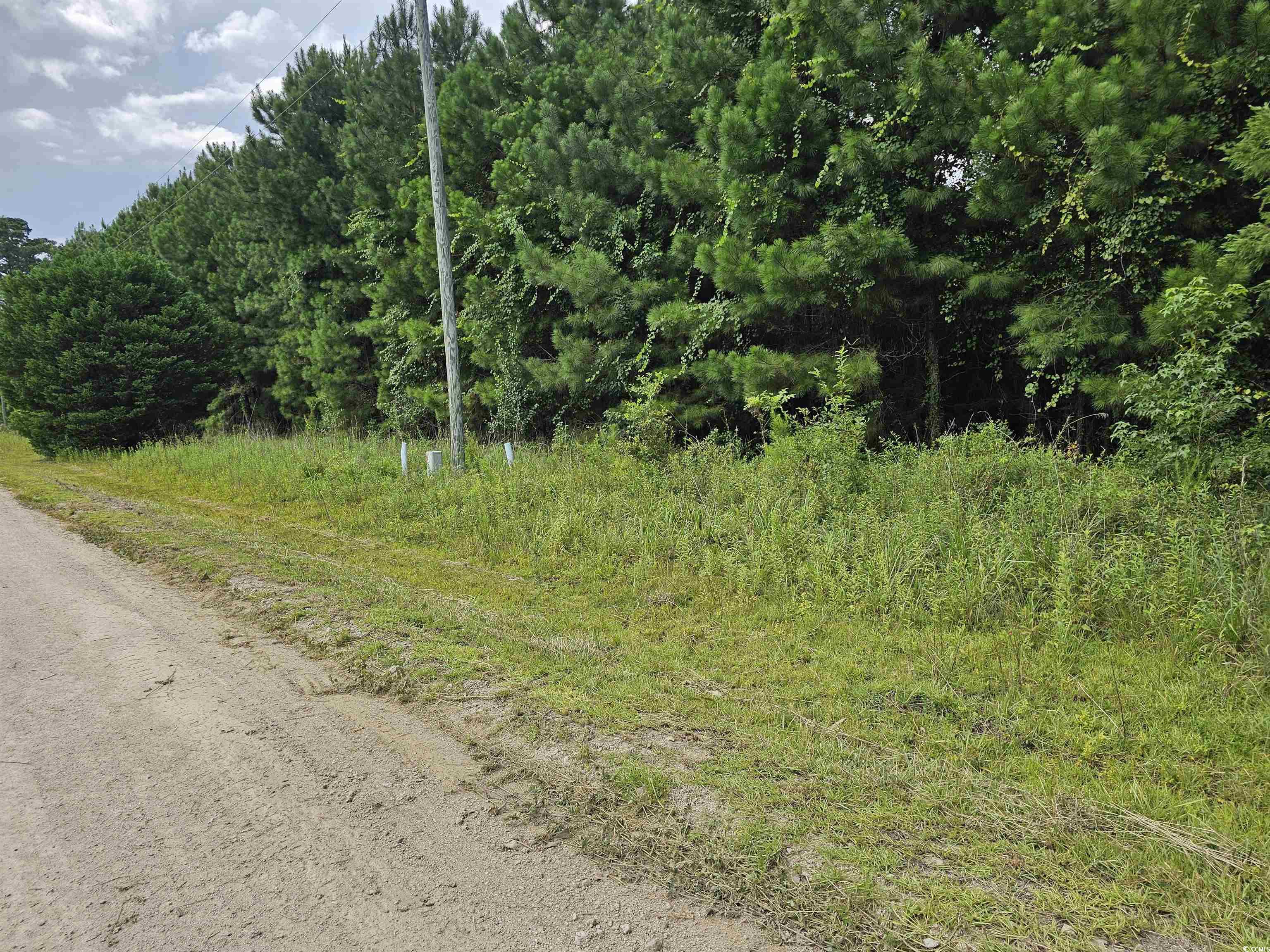 Tbd Powell Lane Property Photo 2