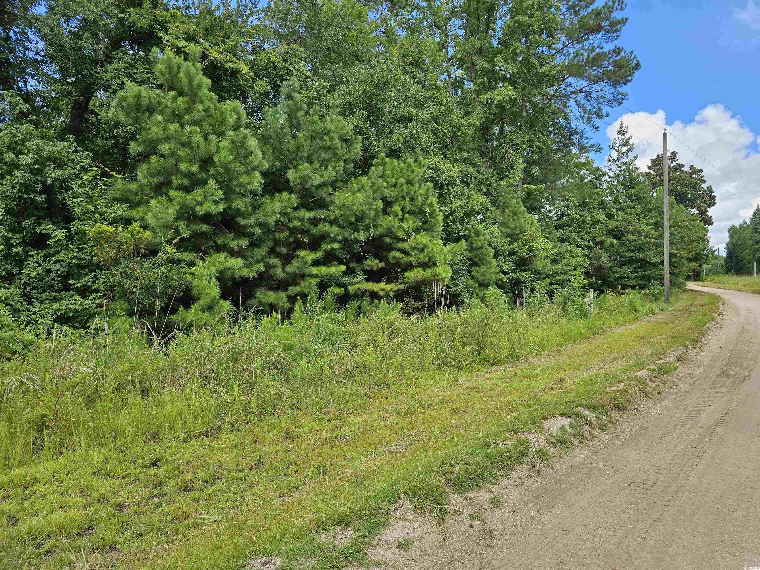 Tbd Powell Lane Property Photo 5