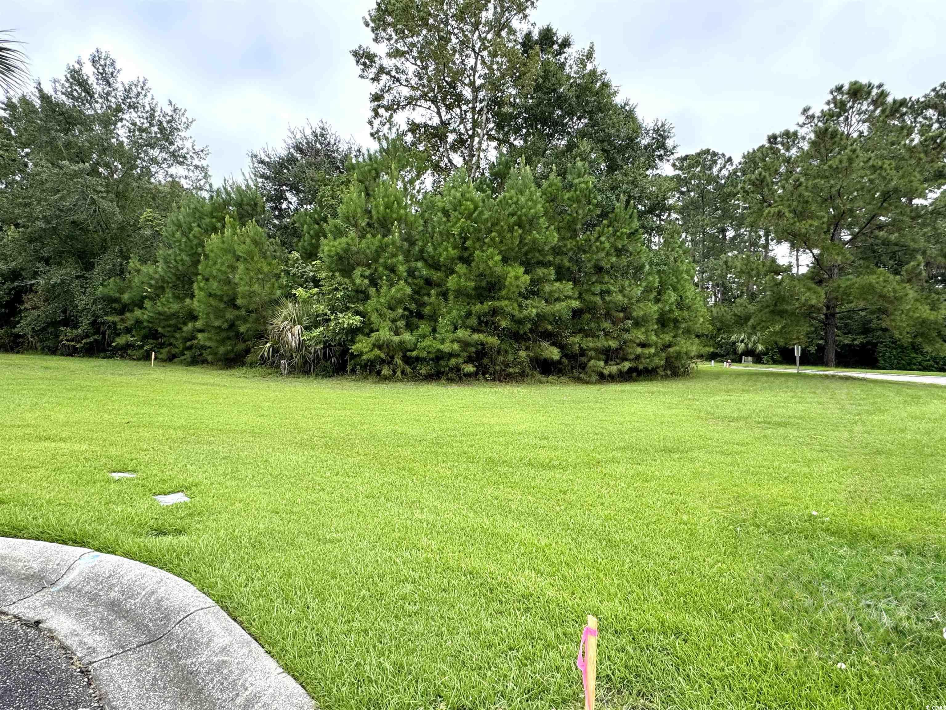 Lot 45 Oak Bay Dr. Property Photo 19