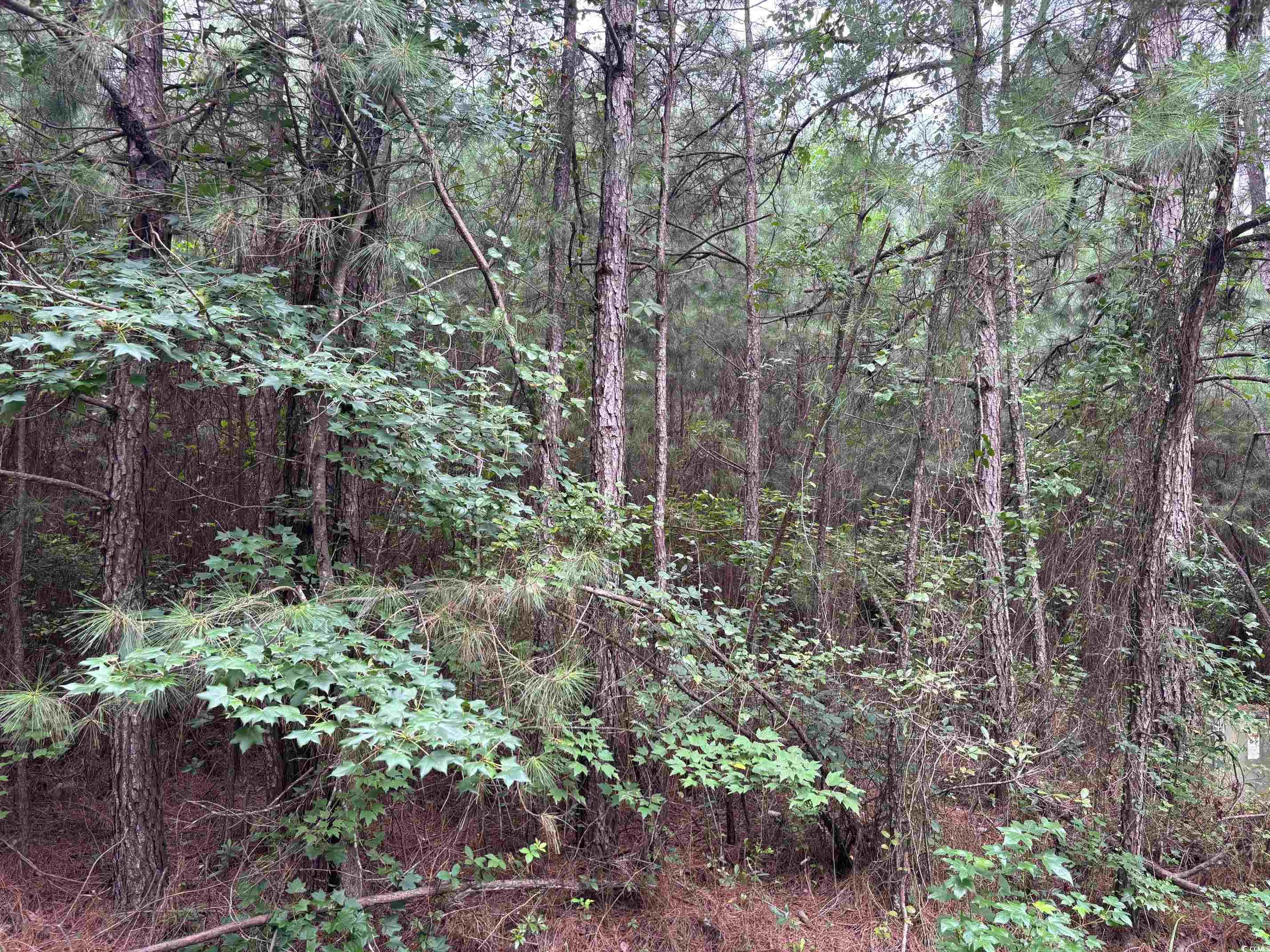 Lot 5-D McGregor Circle Property Photo 1