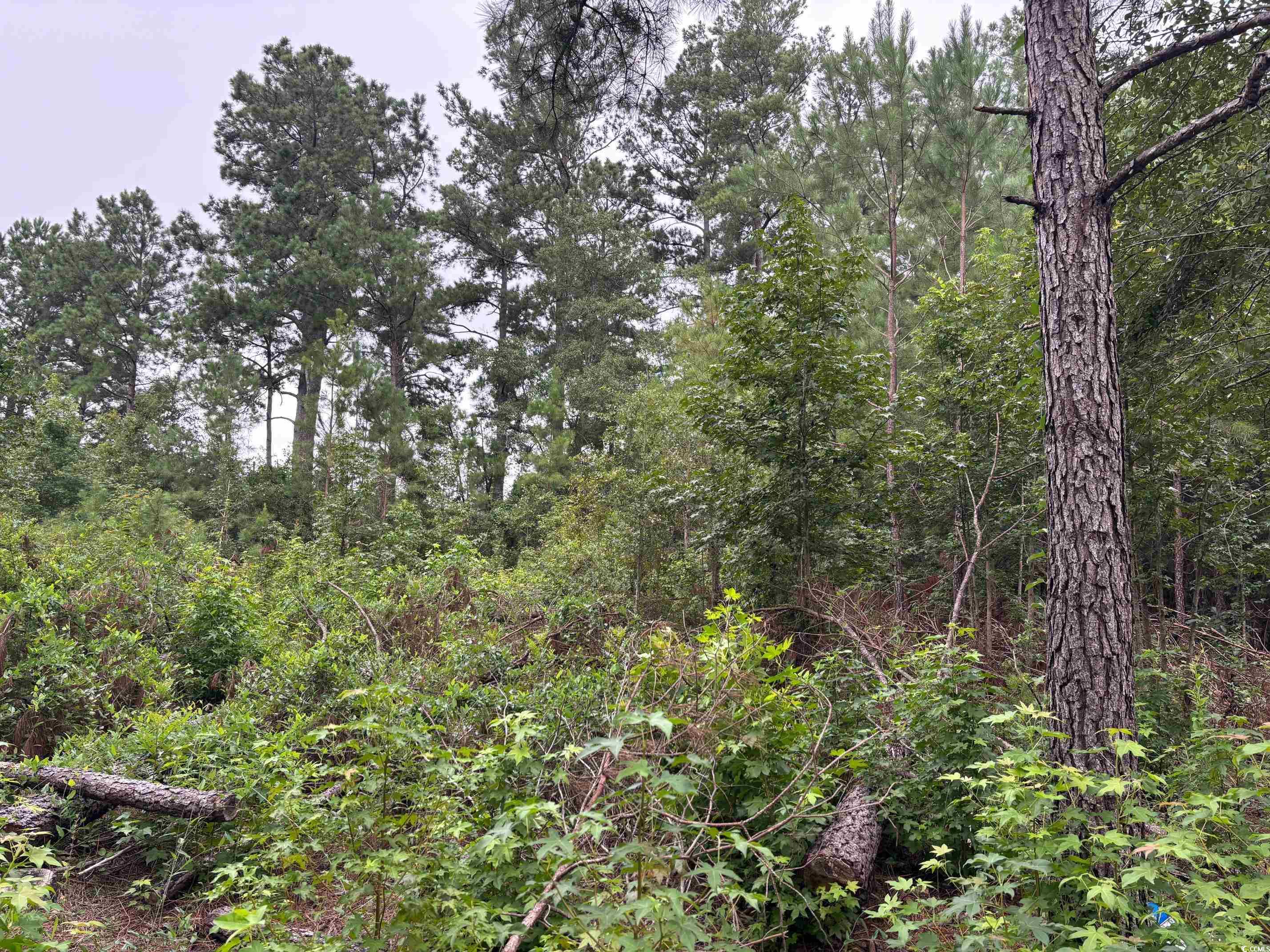 Lot 10-D McGregor Circle Property Photo 1