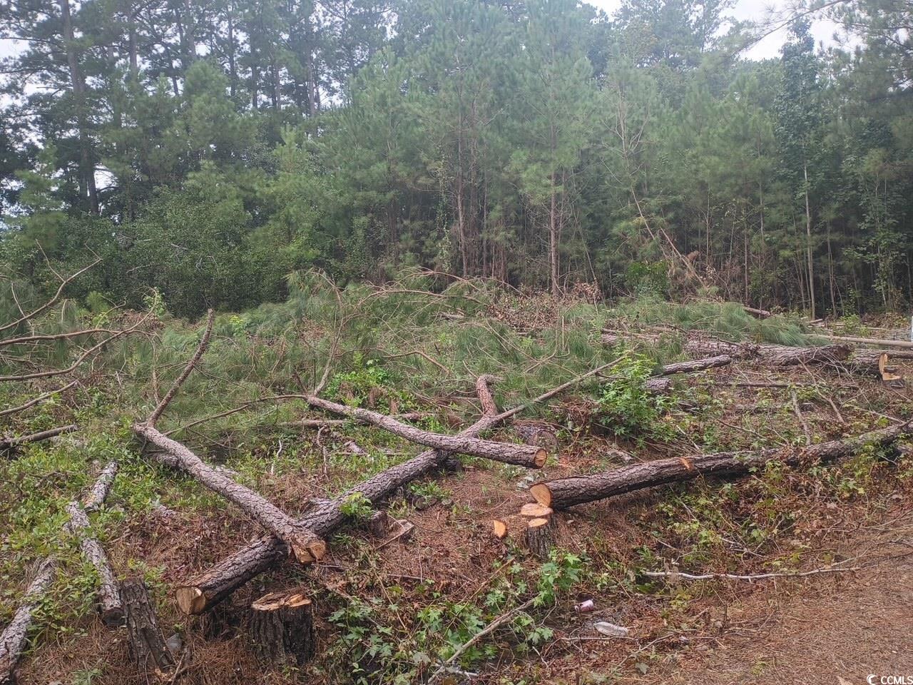 Lot 10-d Mcgregor Circle Property Photo 2