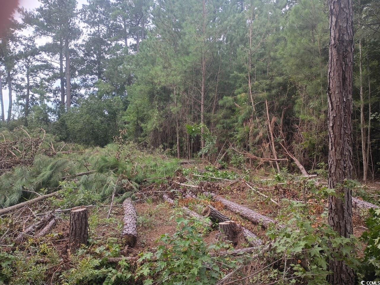 Lot 10-d Mcgregor Circle Property Photo 3