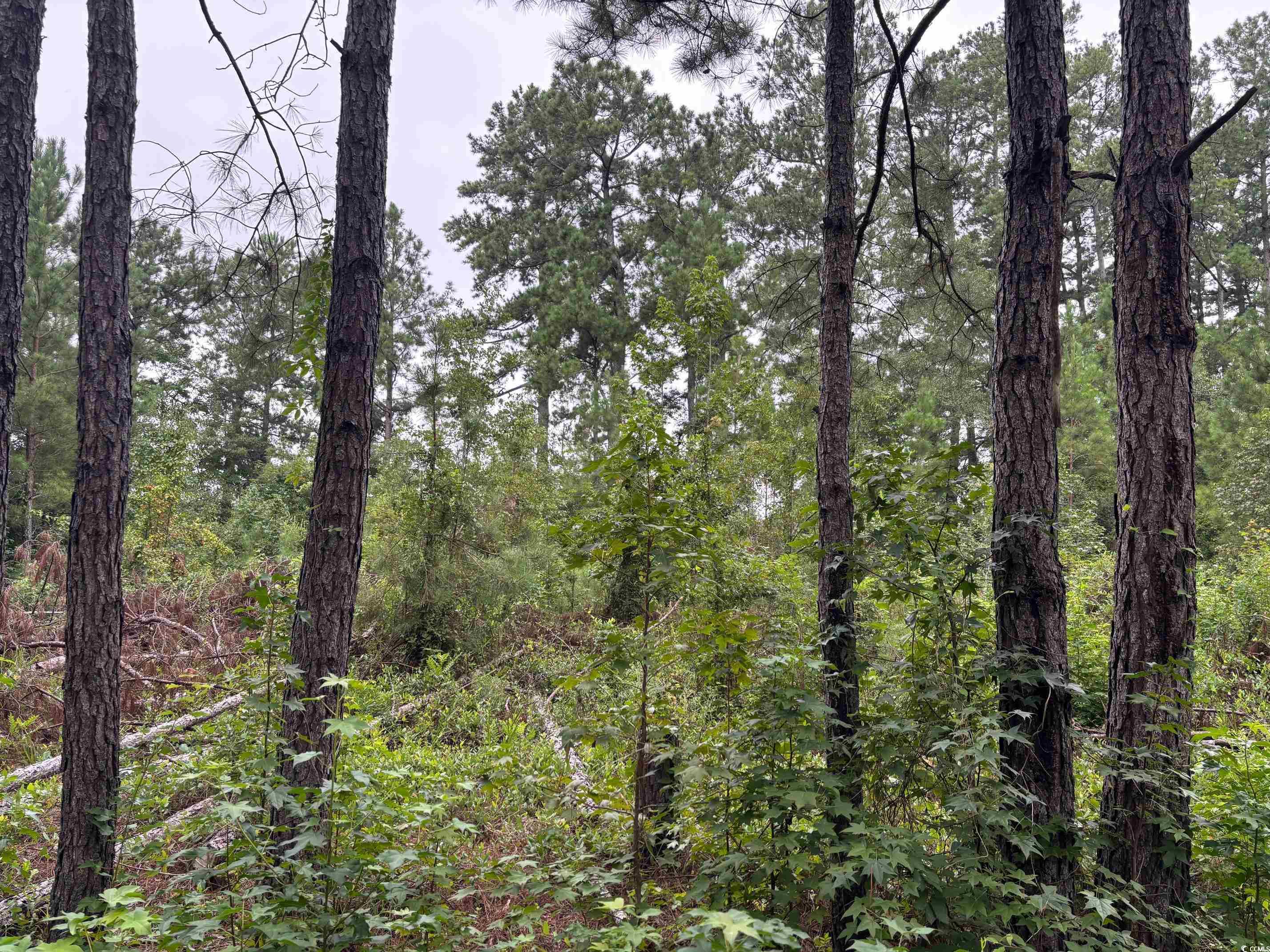 Lot 11-D McGregor Circle Property Photo 1