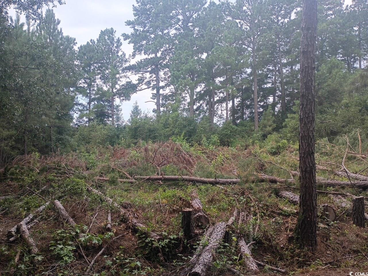 Lot 11-d Mcgregor Circle Property Photo 2