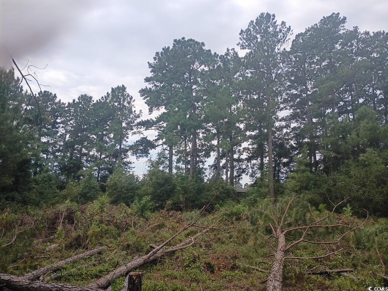Lot 11-d Mcgregor Circle Property Photo 3