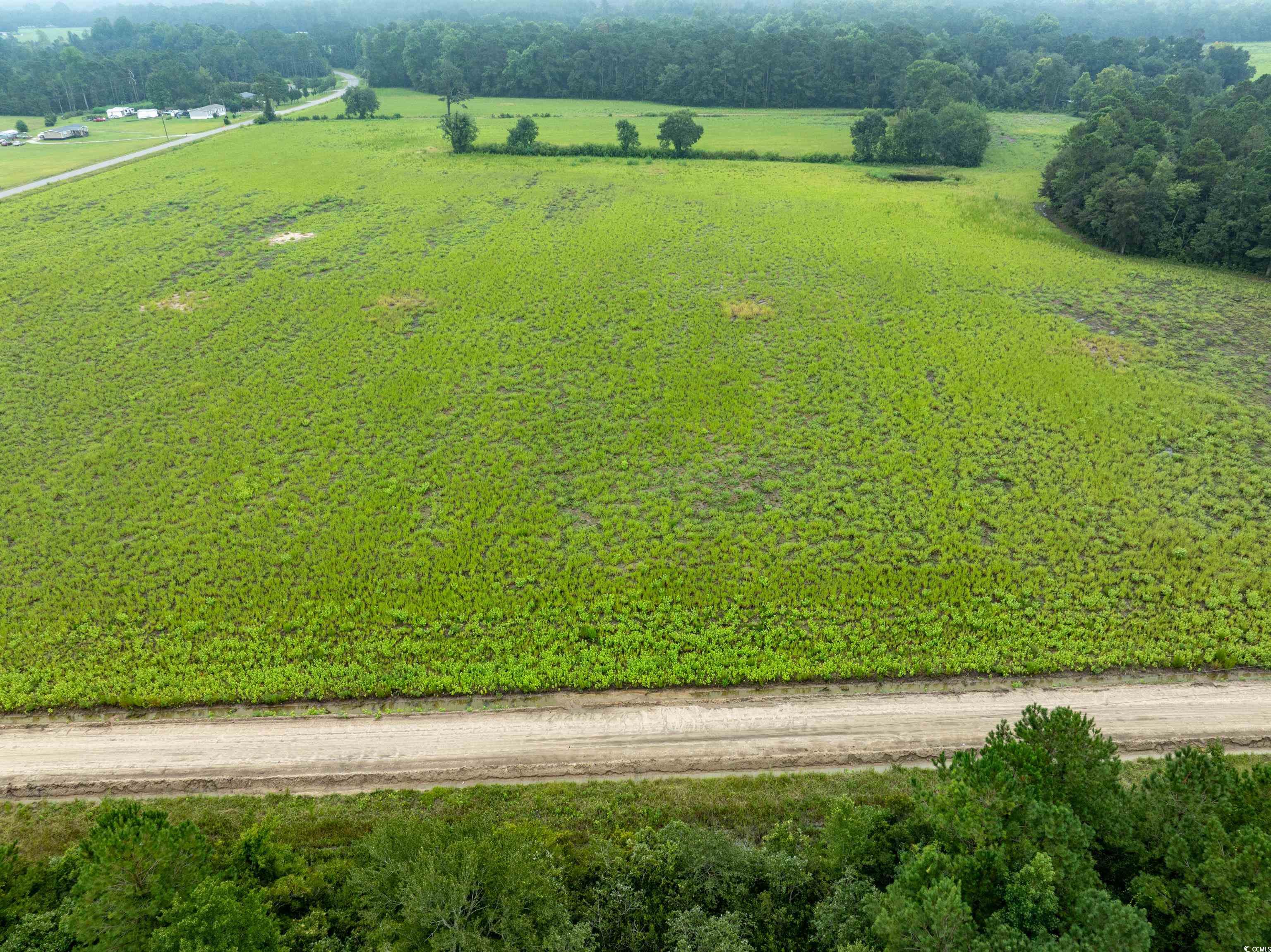Tbd Lot 4 Tansy Rd. Property Photo 1