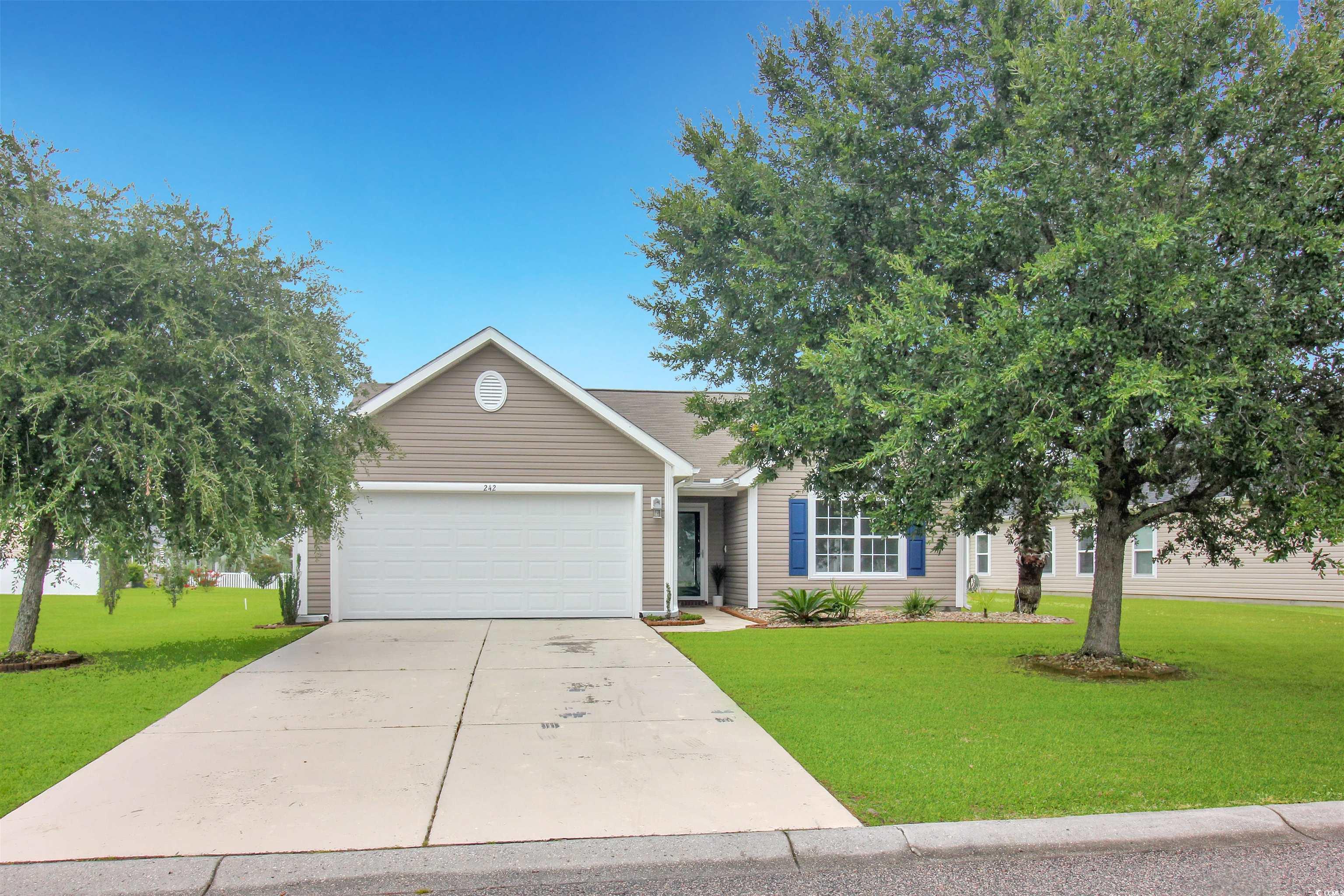 242 Blackpepper Loop