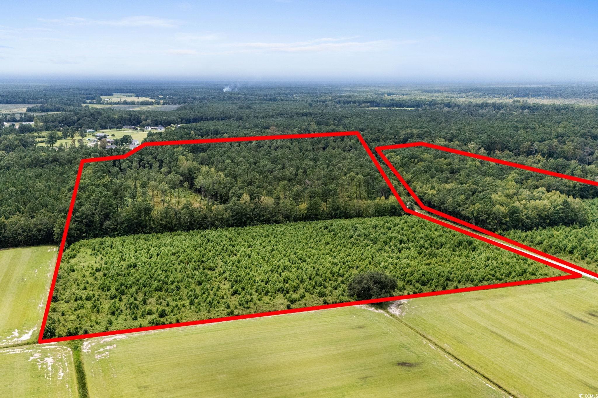 Tbd Ebenezer Rd. Property Photo 13