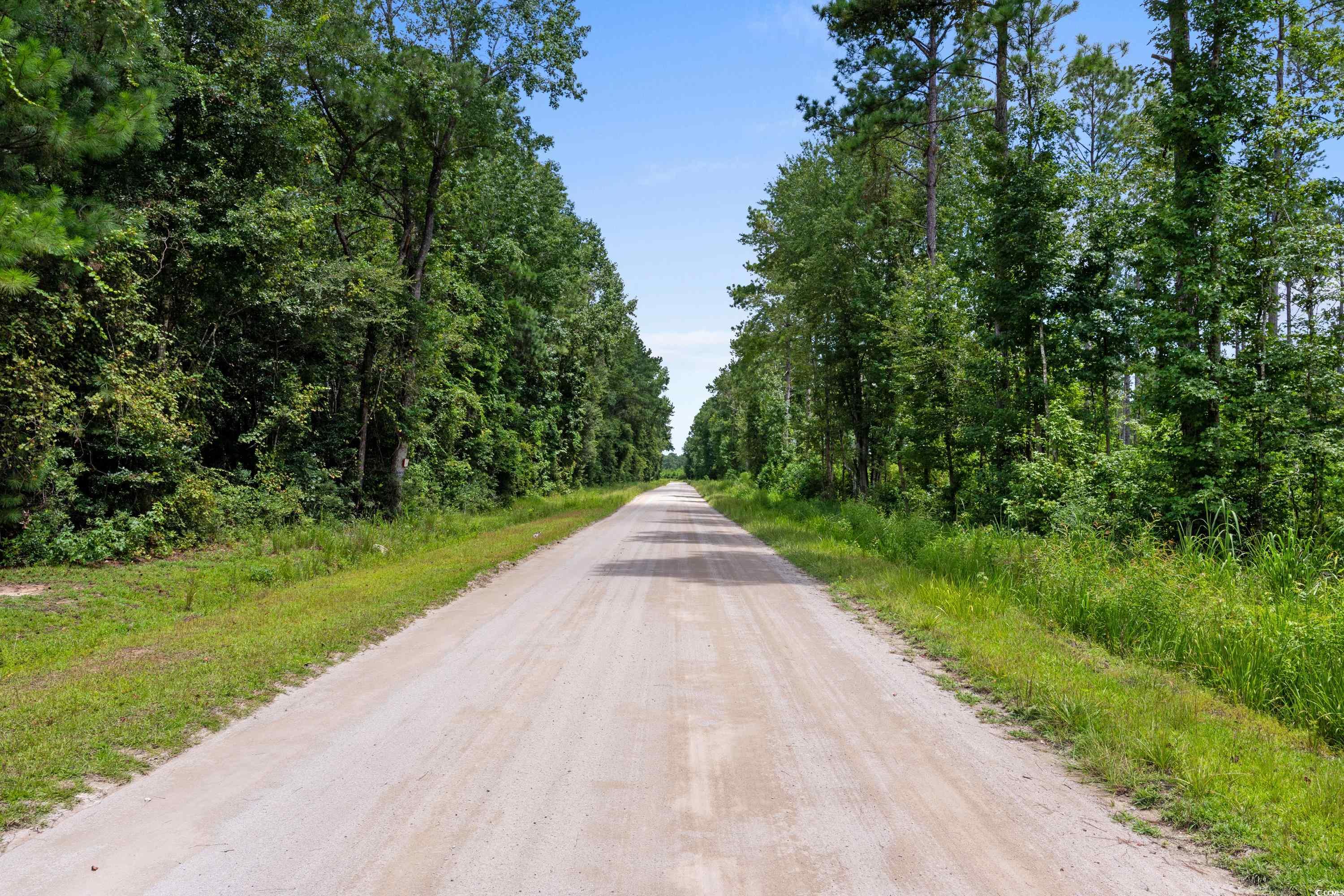 Tbd Ebenezer Rd. Property Photo 14