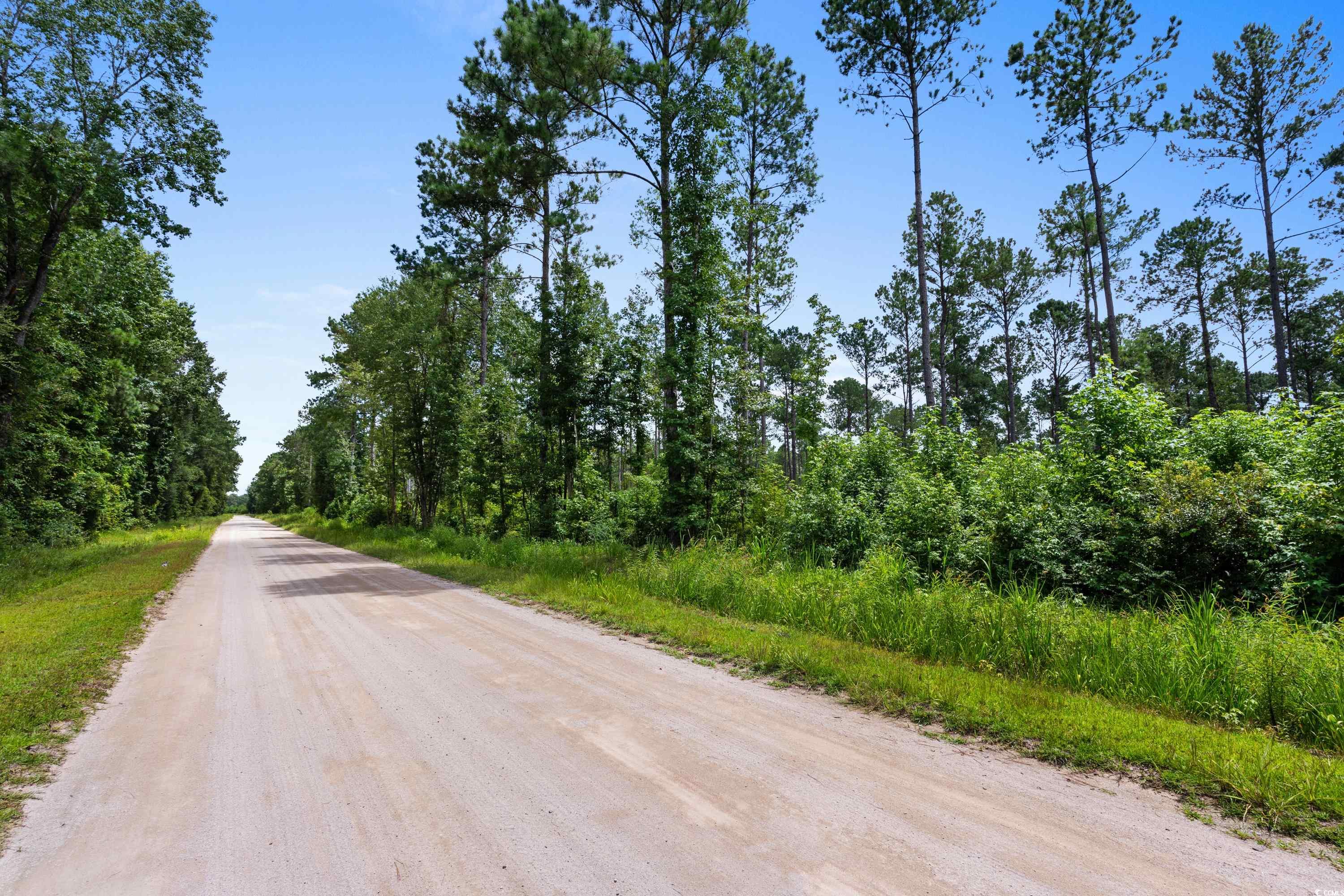 Tbd Ebenezer Rd. Property Photo 15