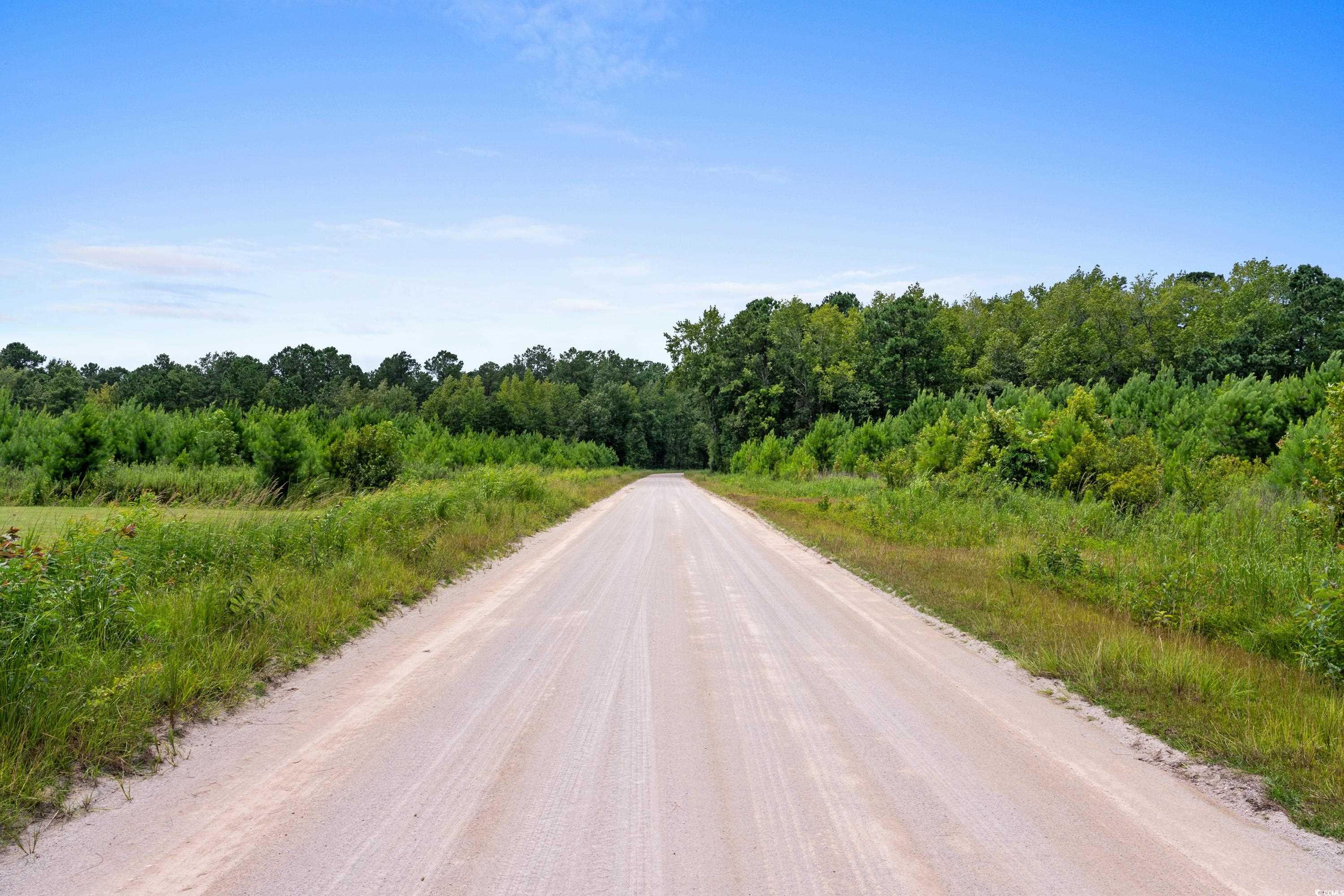 Tbd Ebenezer Rd. Property Photo 18
