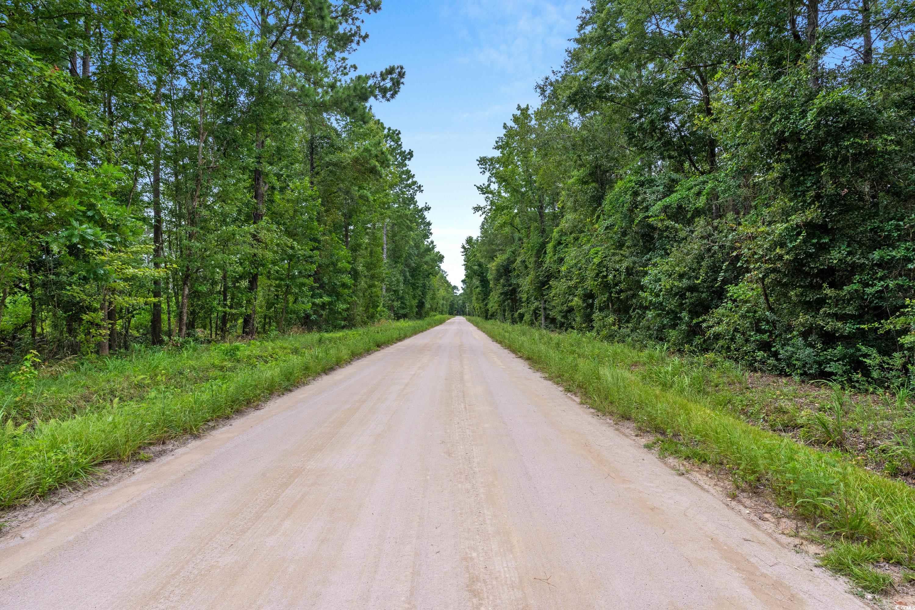 Tbd Ebenezer Rd. Property Photo 19