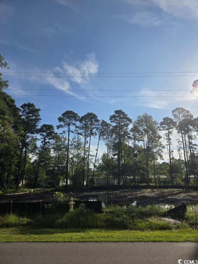 63 Pinewood Dr. Property Photo 1