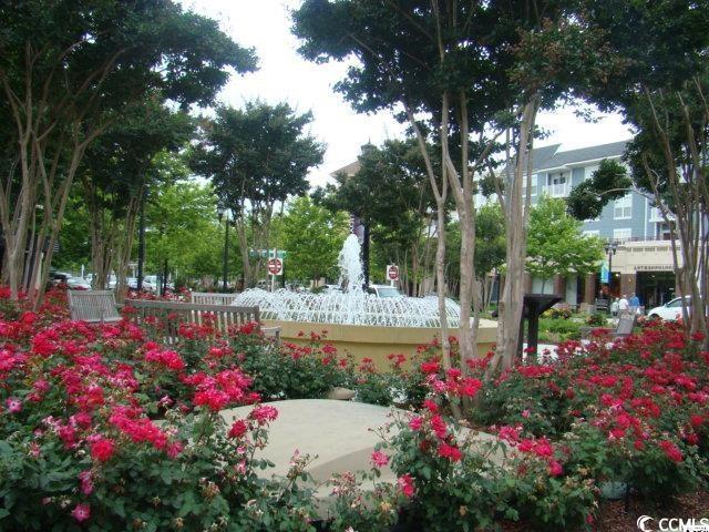 5730 Highway 707 Property Photo 32