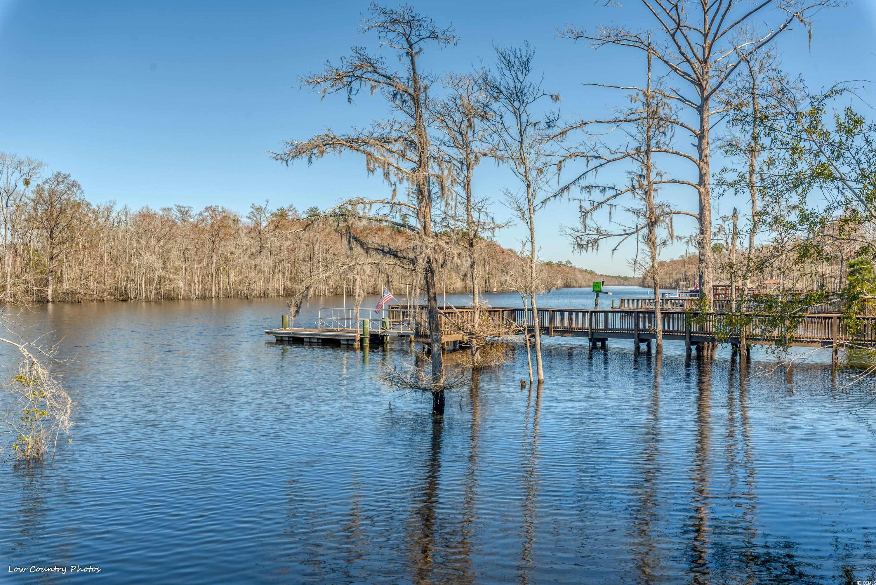 5730 Highway 707 Property Photo 36