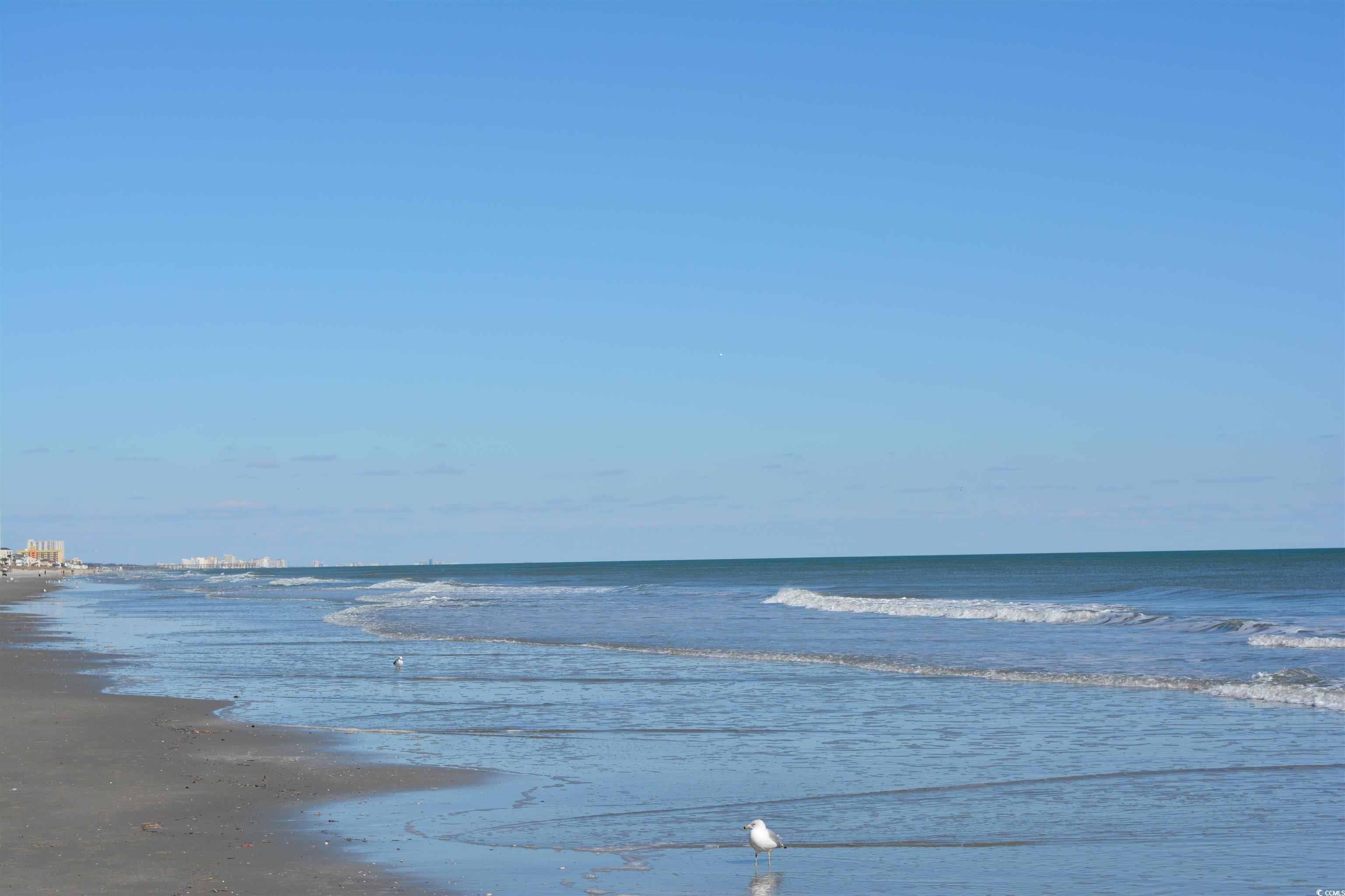 5730 Highway 707 Property Photo 37