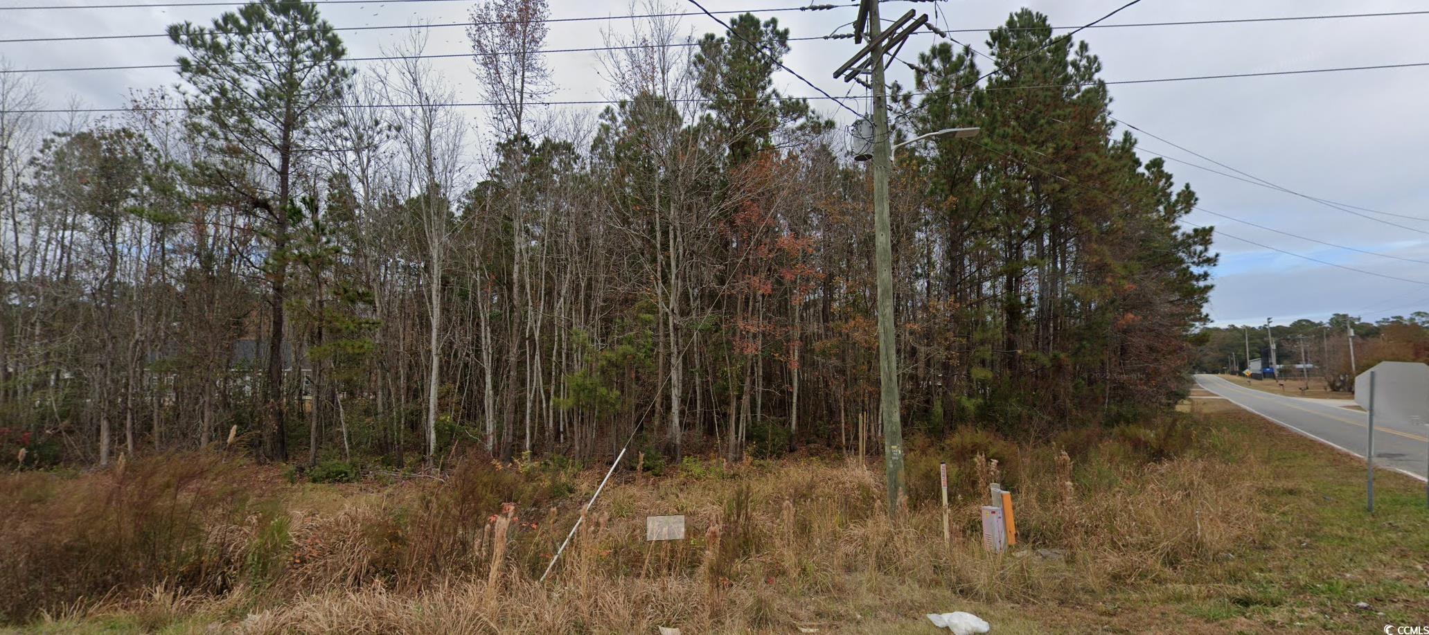 Tbd Highway 90 Property Photo 3