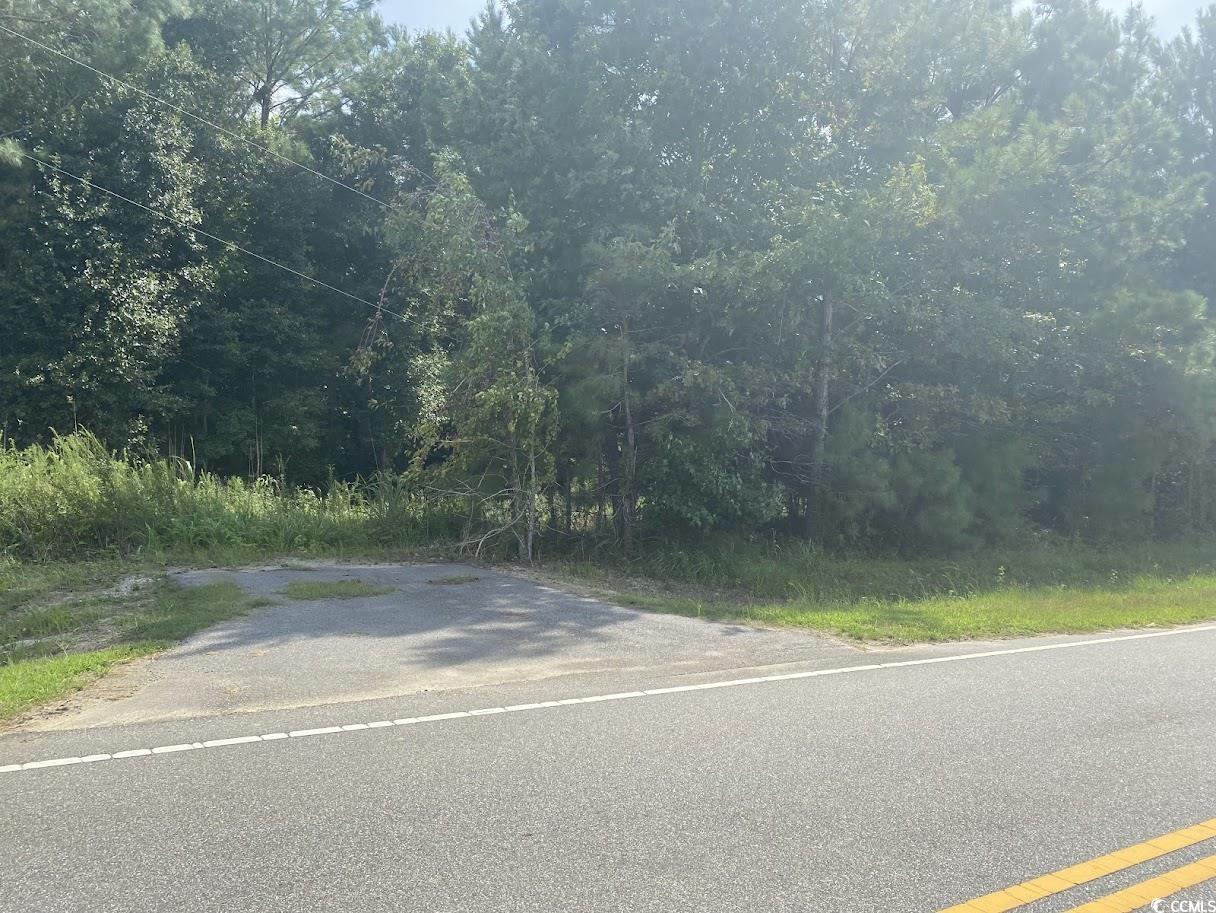 Tbd Long Branch Swamp Rd. Property Photo 1