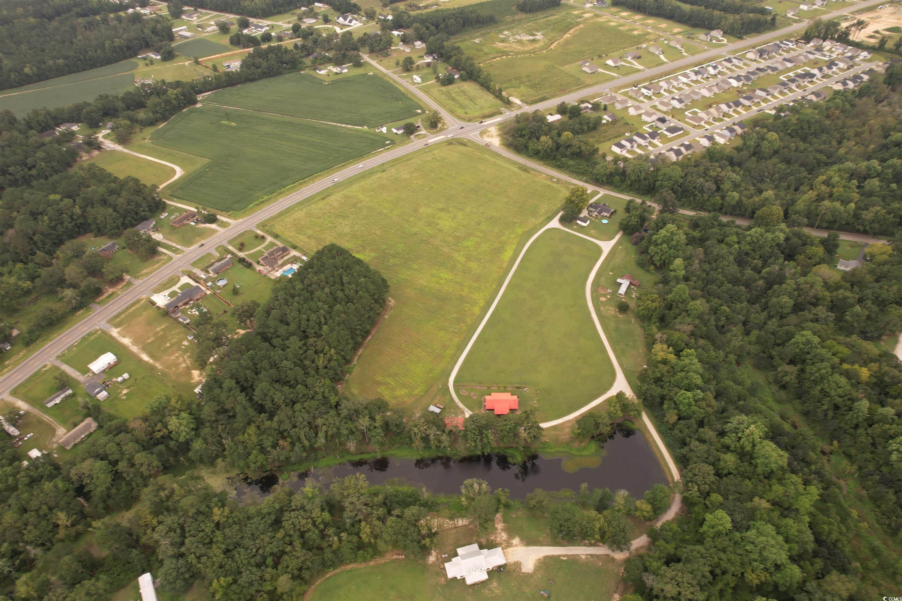 6.54 Acres-tbd Alligator Rd. Property Photo 3