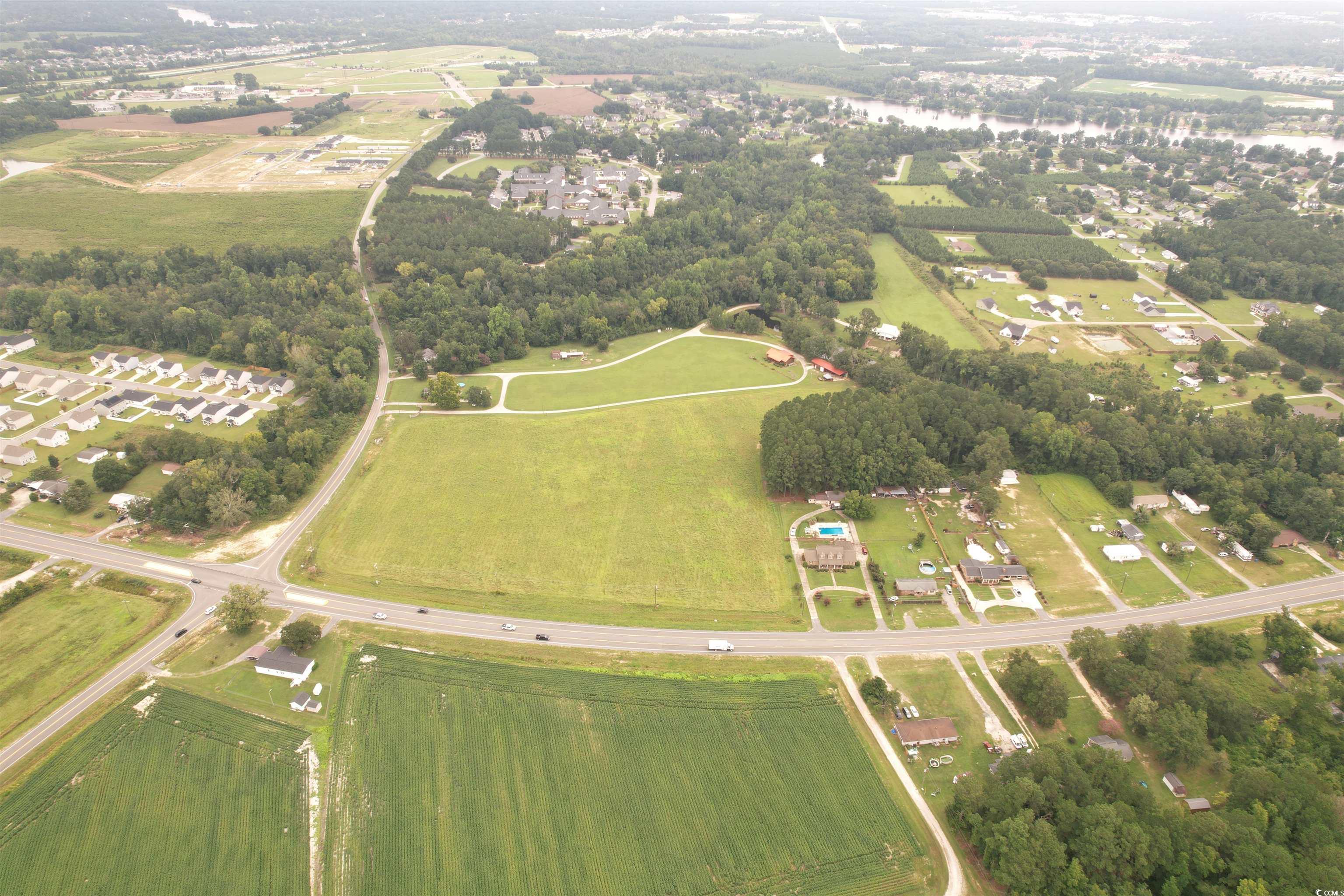 6.54 Acres-tbd Alligator Rd. Property Photo 5