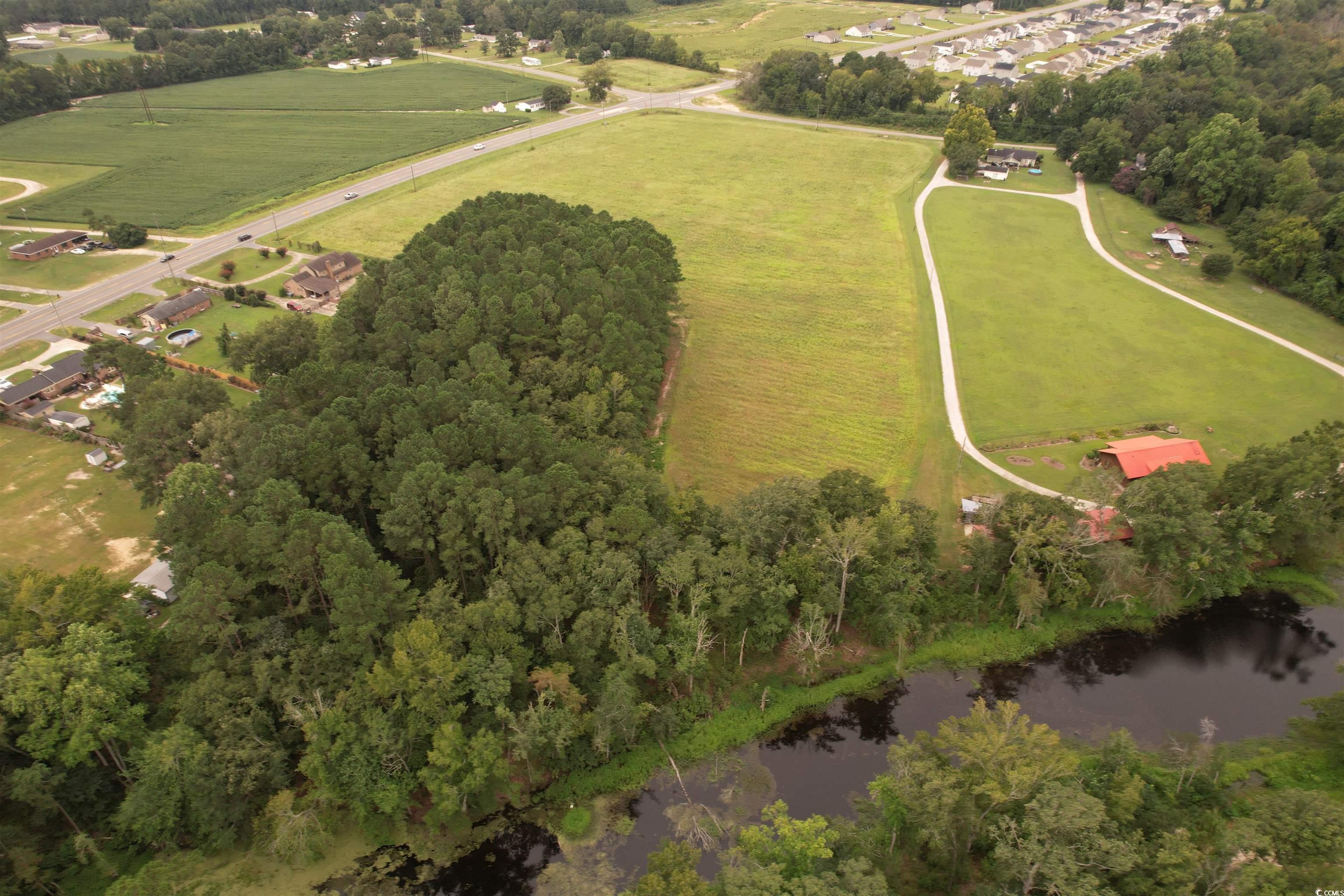 6.54 Acres-tbd Alligator Rd. Property Photo 6