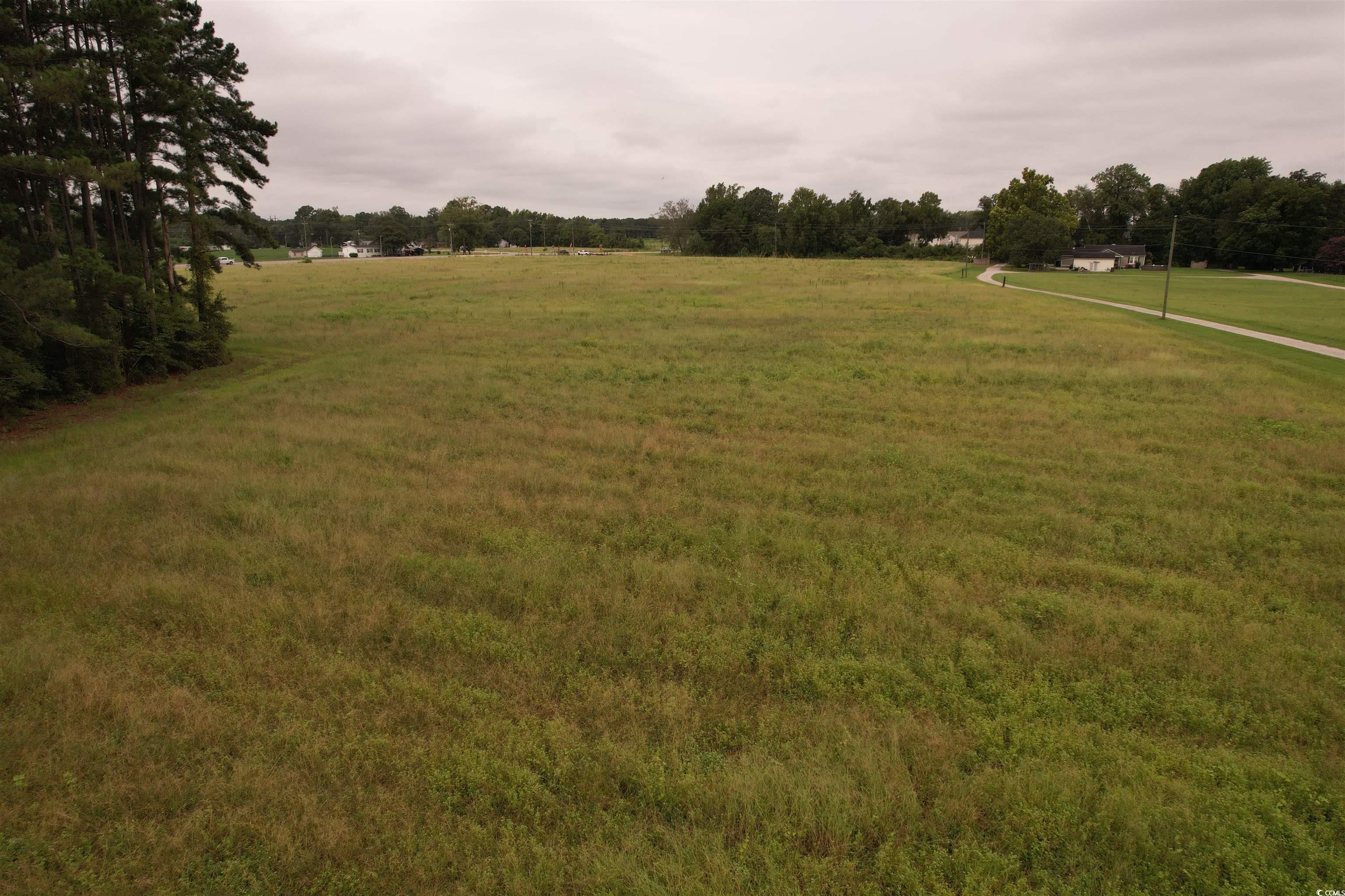 6.54 Acres-tbd Alligator Rd. Property Photo 9