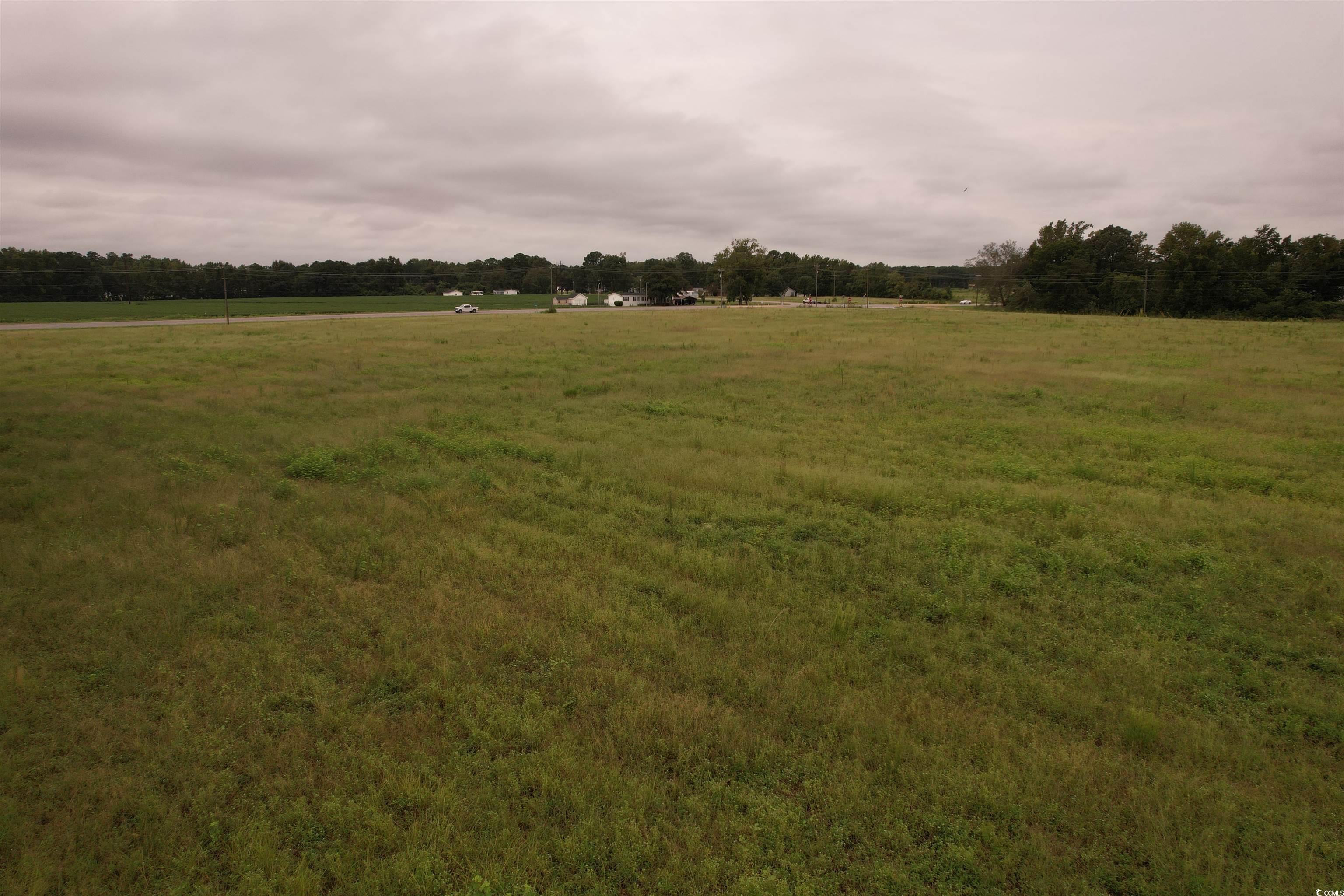 6.54 Acres-tbd Alligator Rd. Property Photo 10