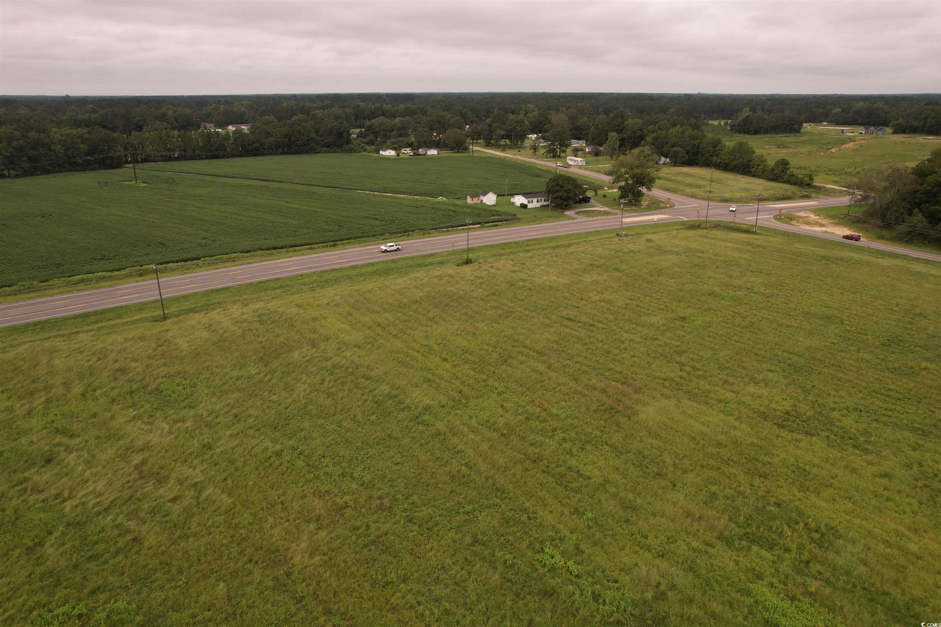 6.54 Acres-tbd Alligator Rd. Property Photo 11