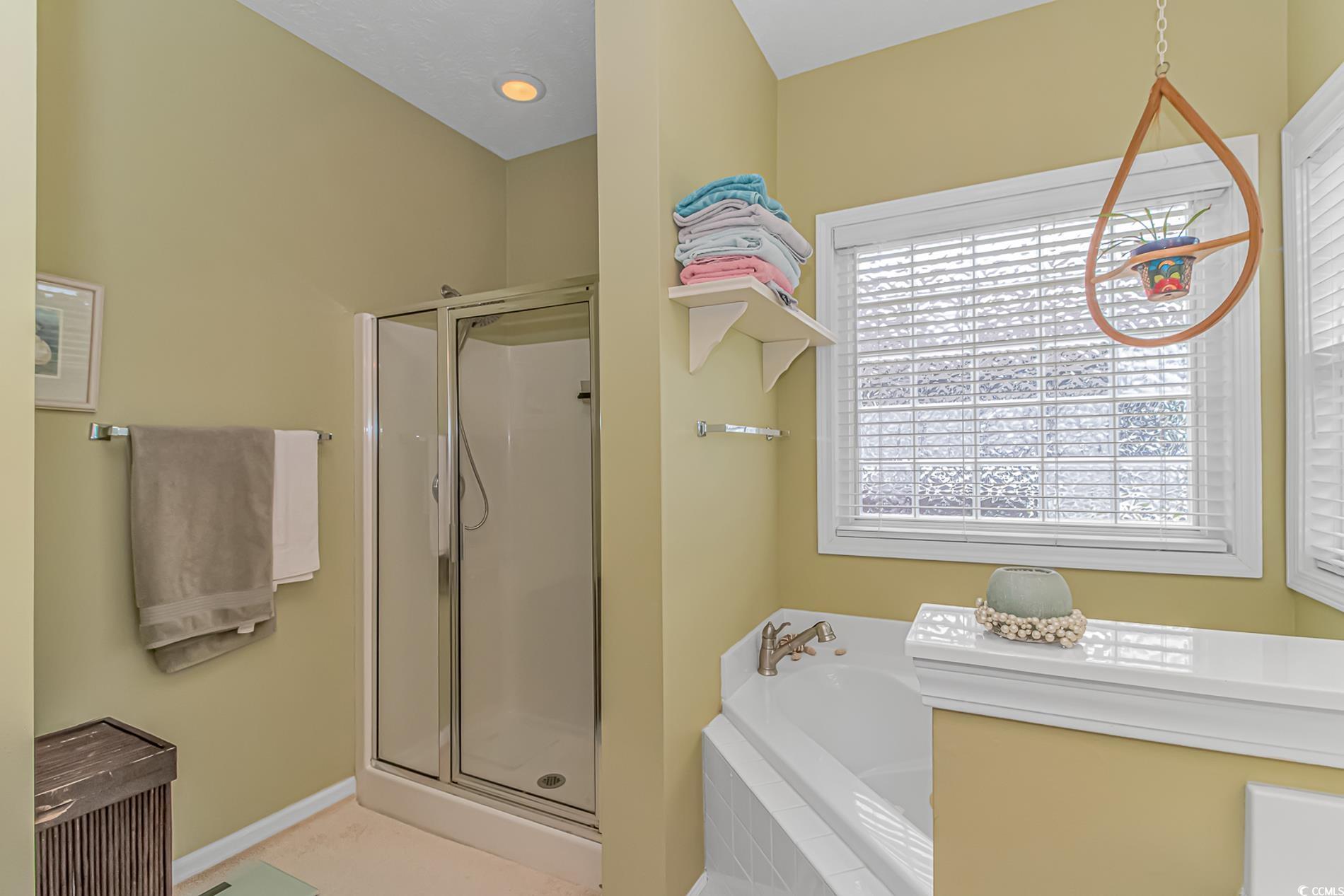 1015 University Forest Dr. Property Photo 18