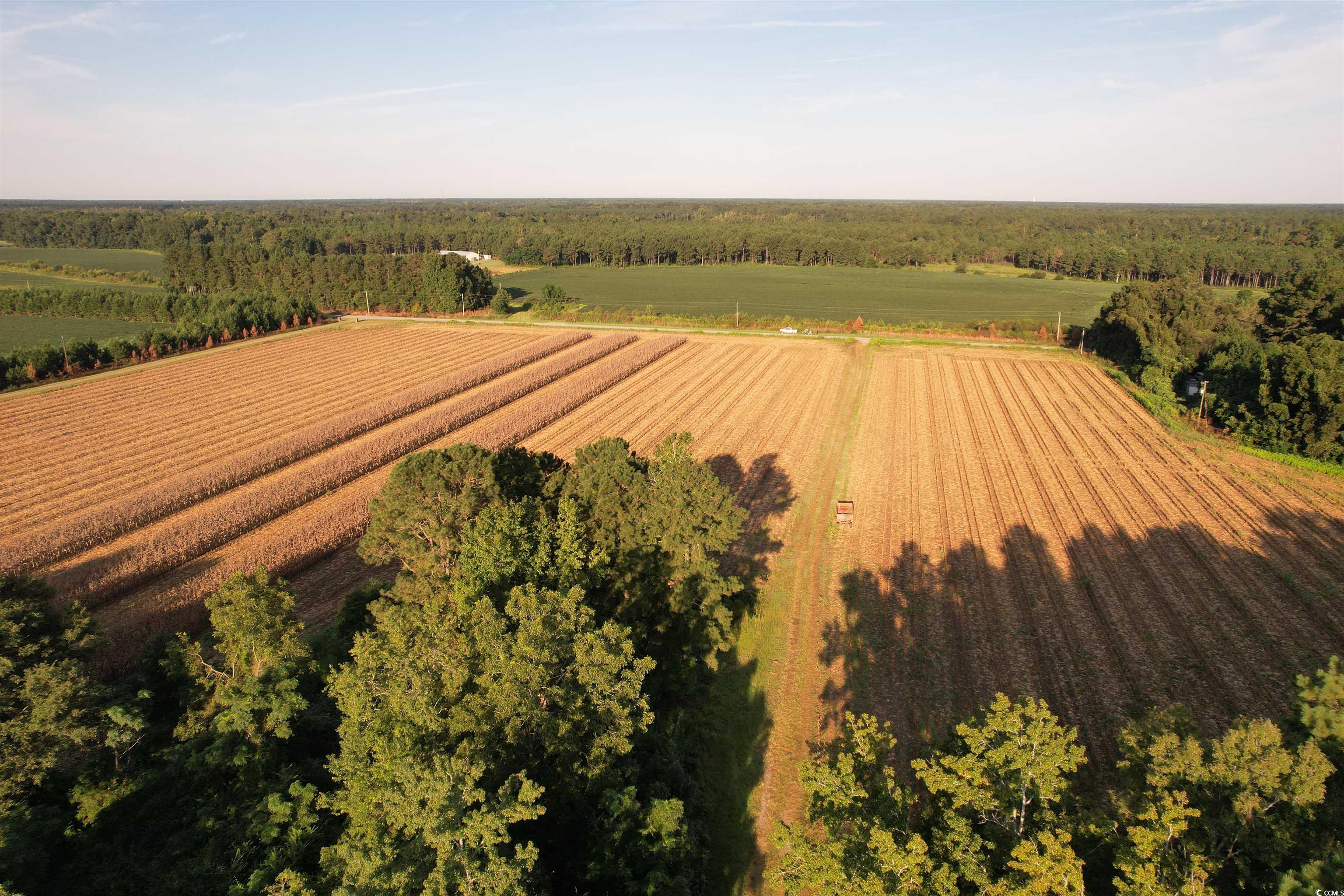 61.77 Acres-tbd Marion Church Rd. Property Photo 1
