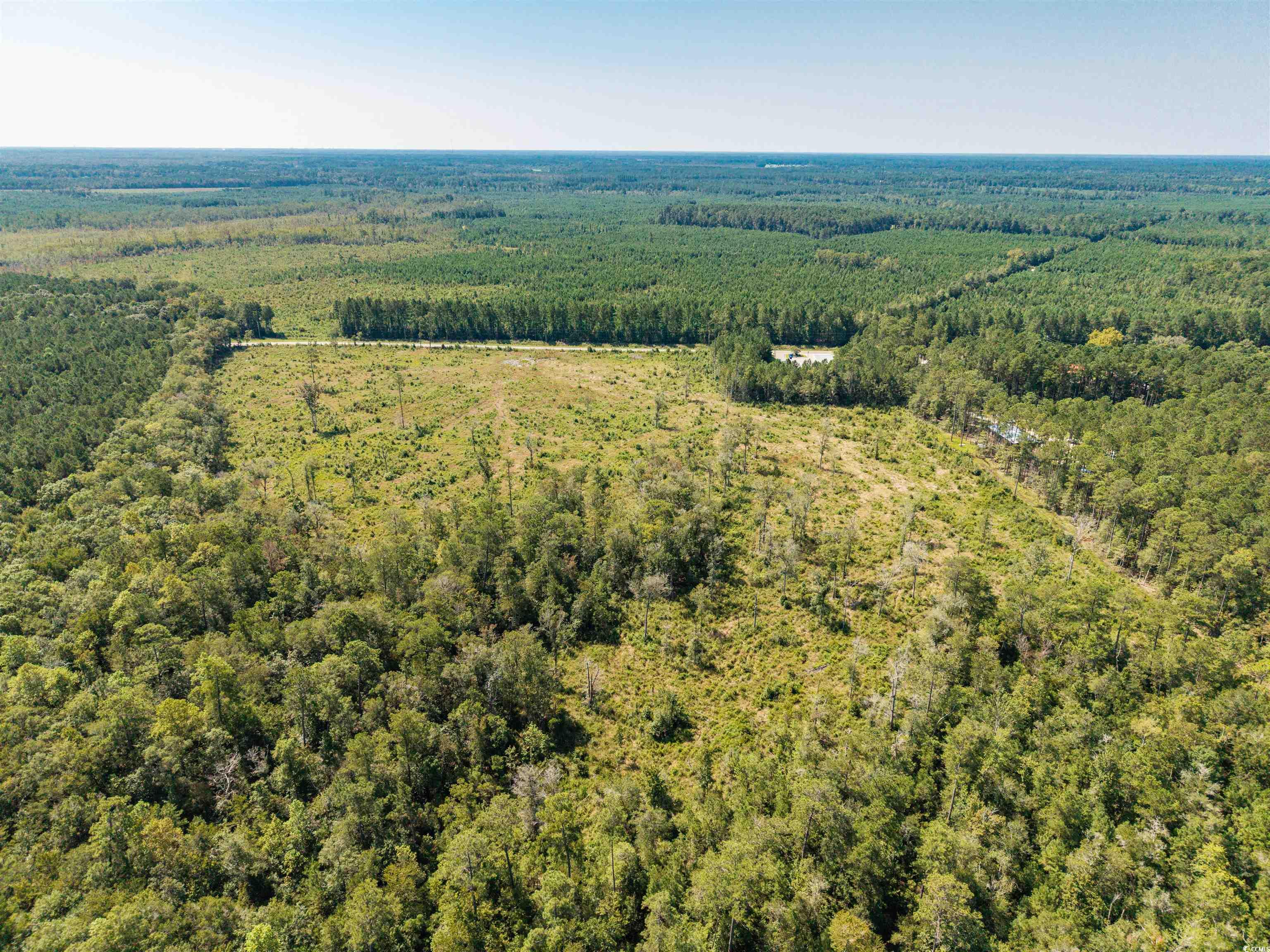 Tbd Pitch Landing Rd. Property Photo 6