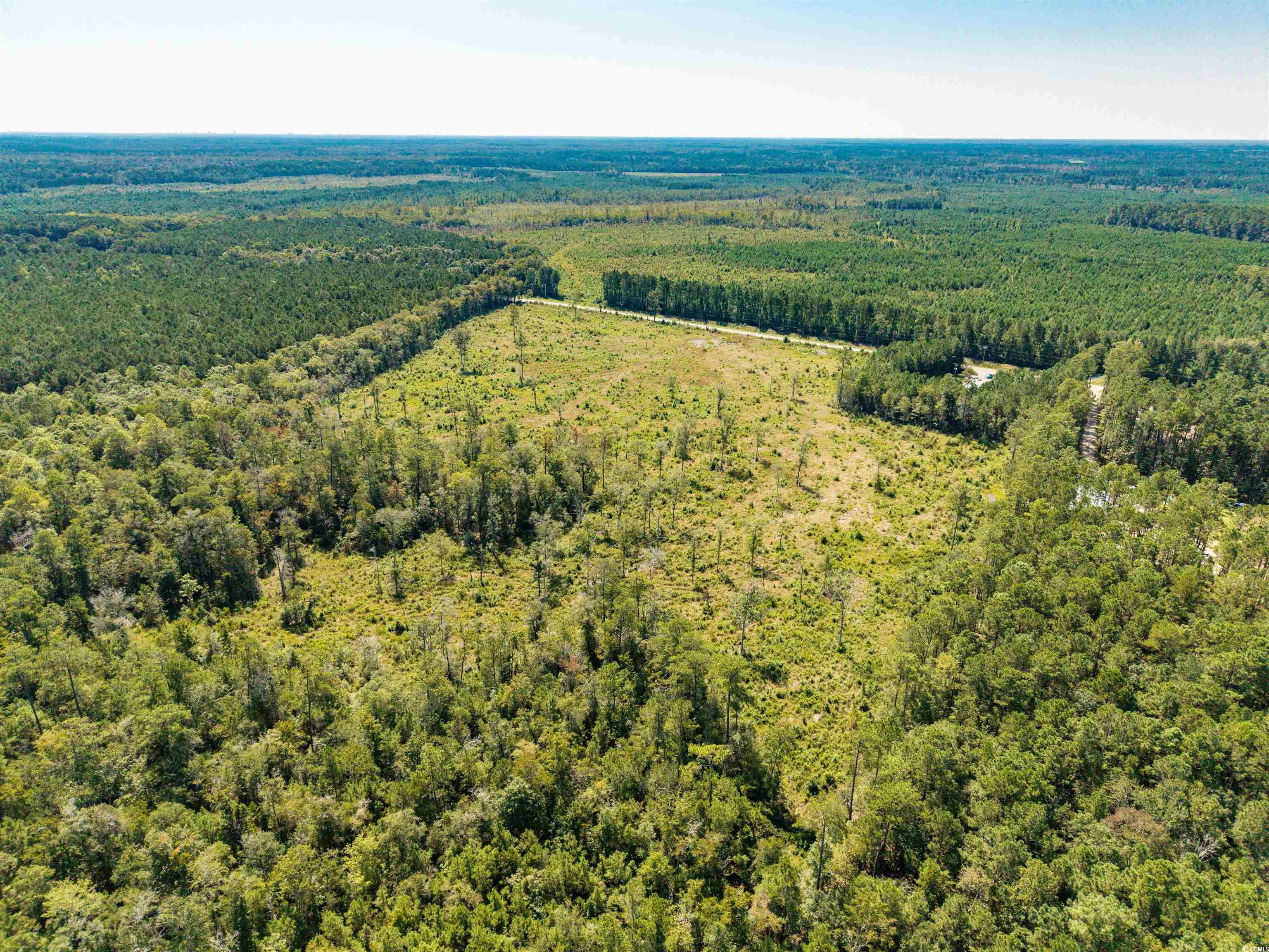 Tbd Pitch Landing Rd. Property Photo 7